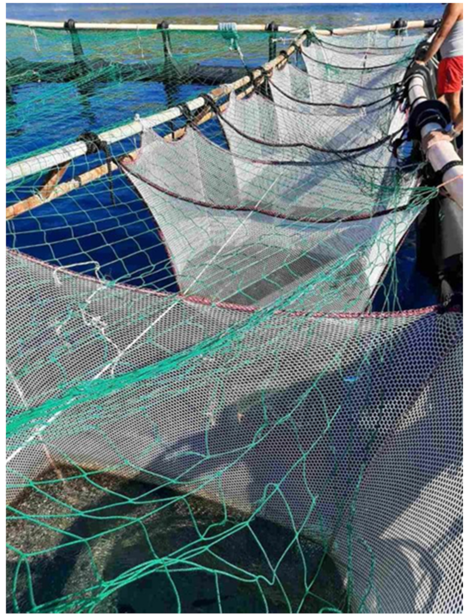 Applsci 11 04656 g001