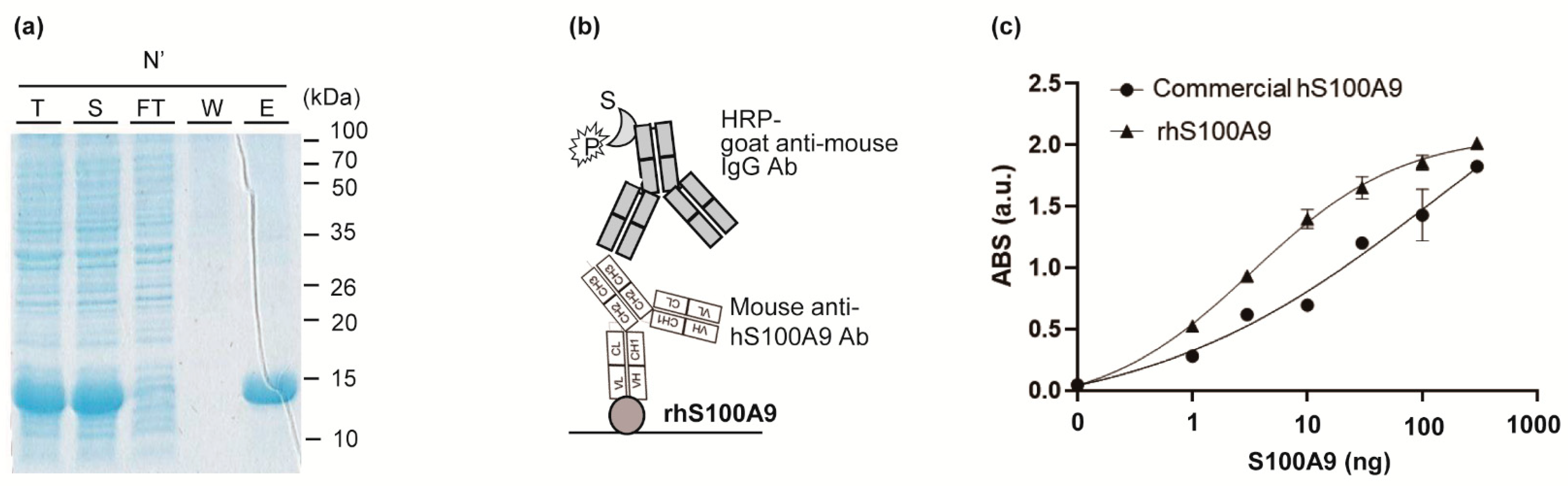 Applsci 11 04659 g001