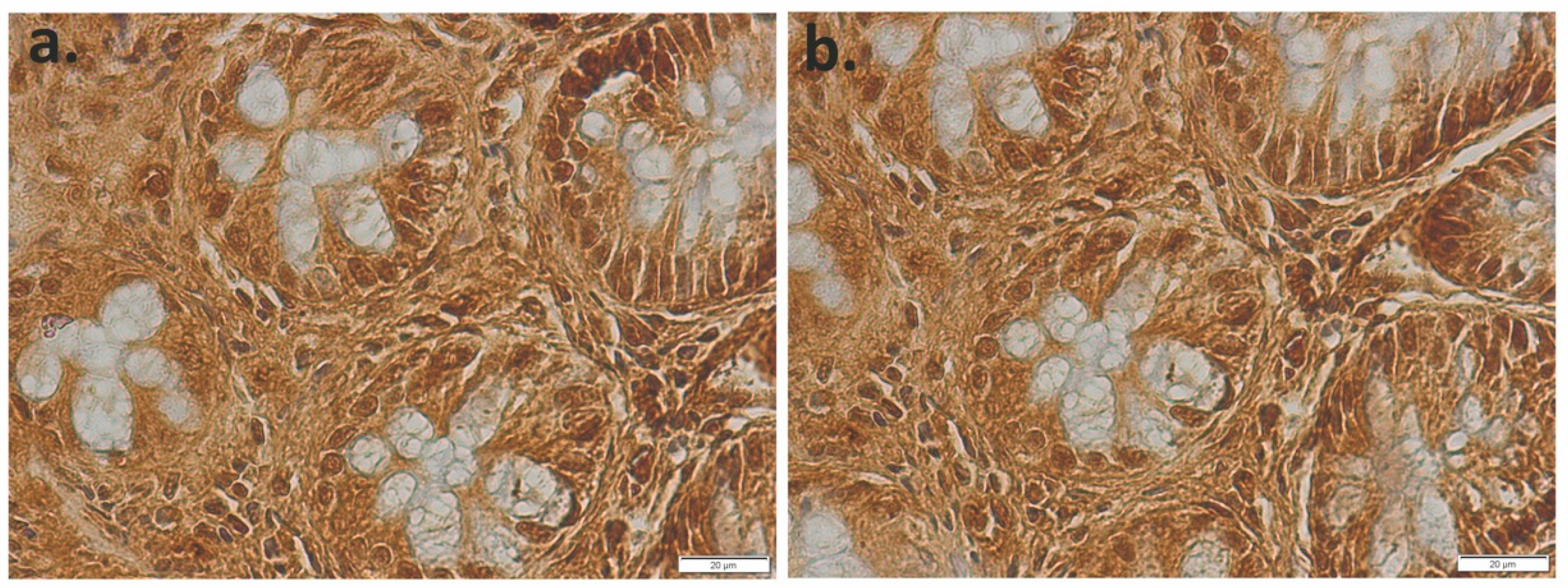 Applsci 11 04710 g001