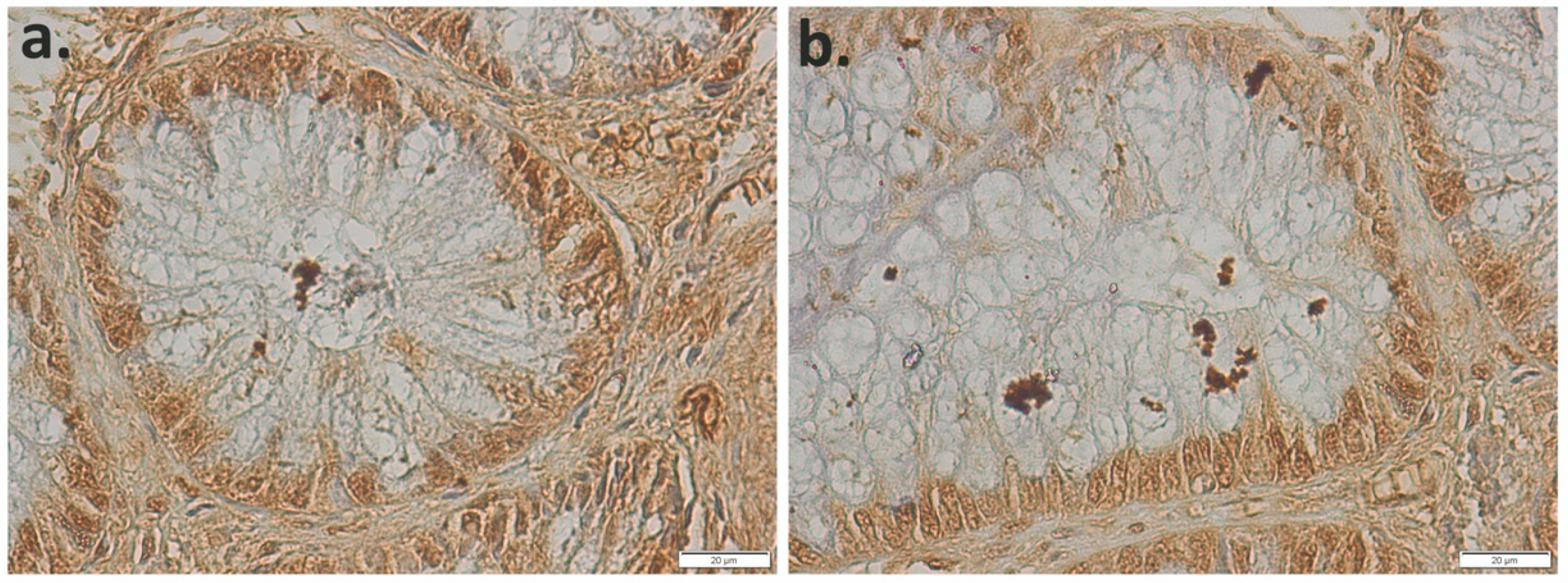 Applsci 11 04710 g002
