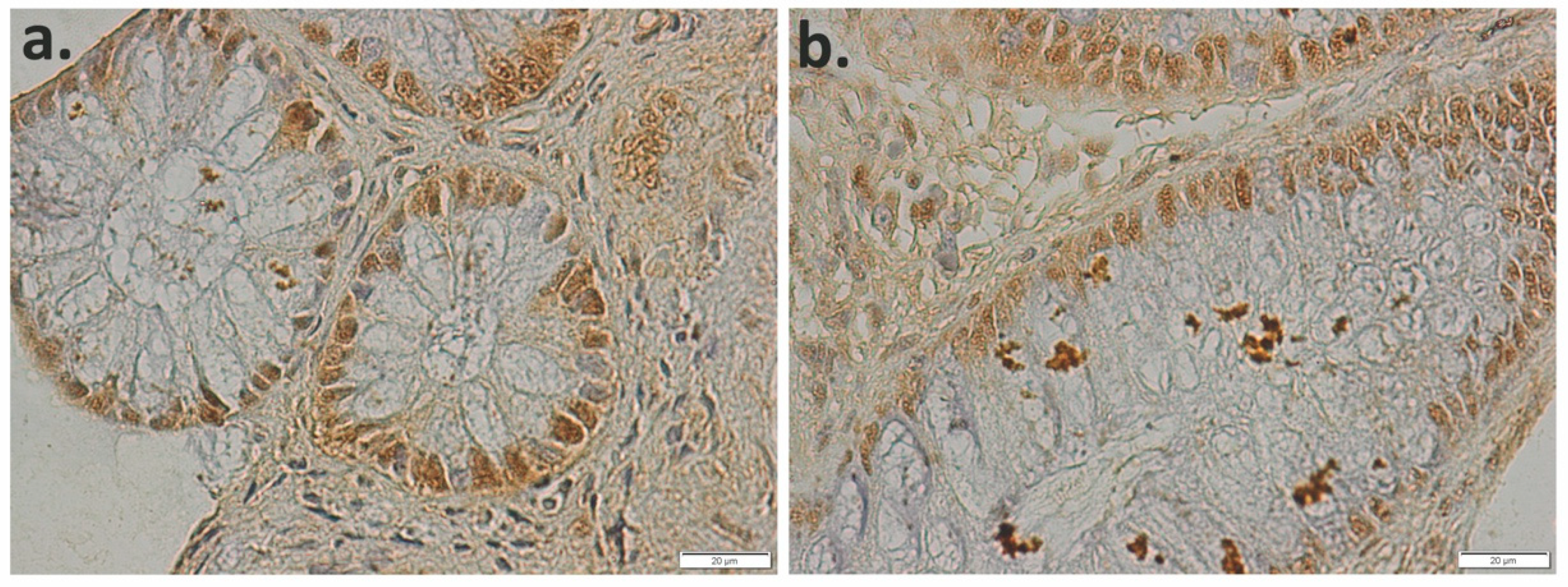 Applsci 11 04710 g003