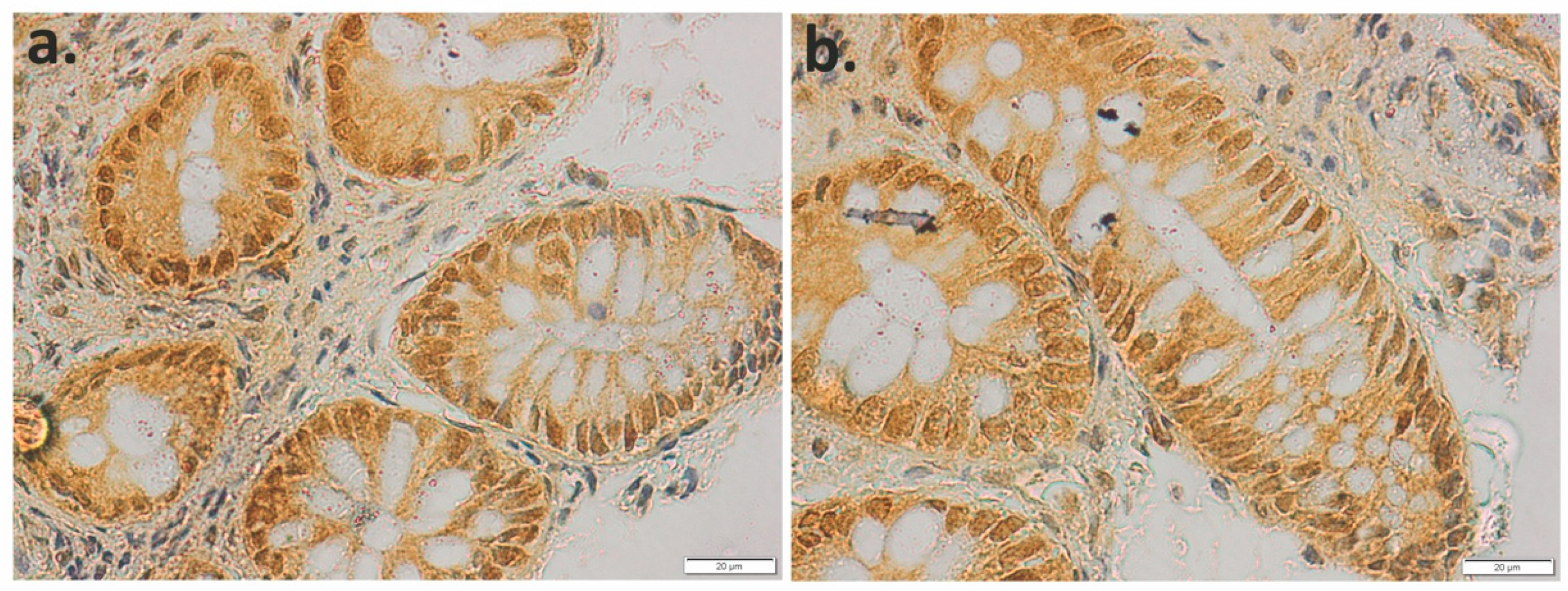 Applsci 11 04710 g004
