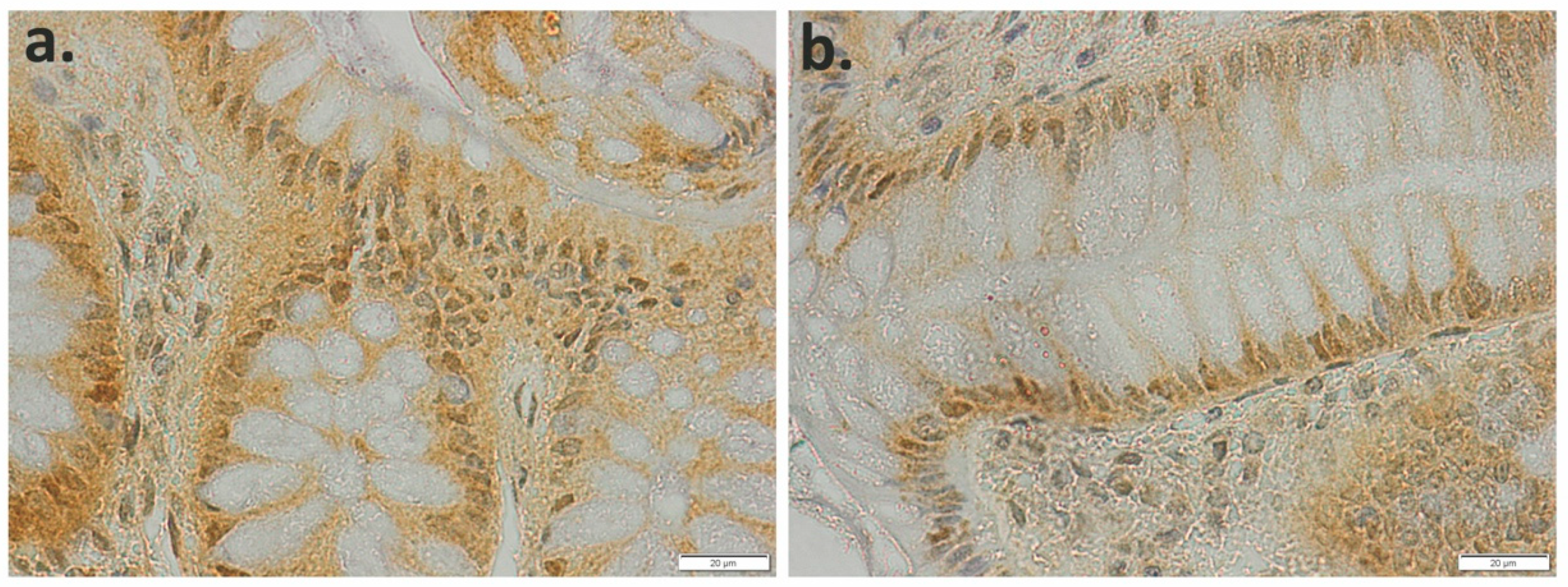 Applsci 11 04710 g005