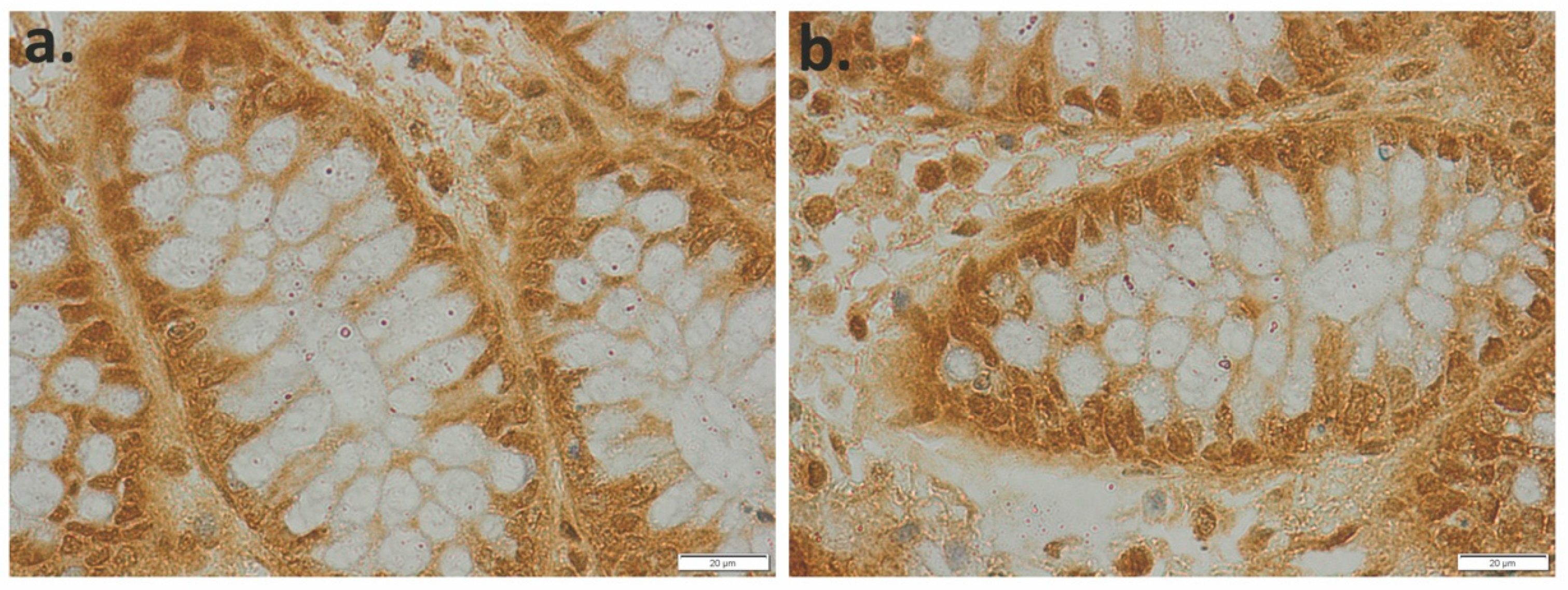 Applsci 11 04710 g006