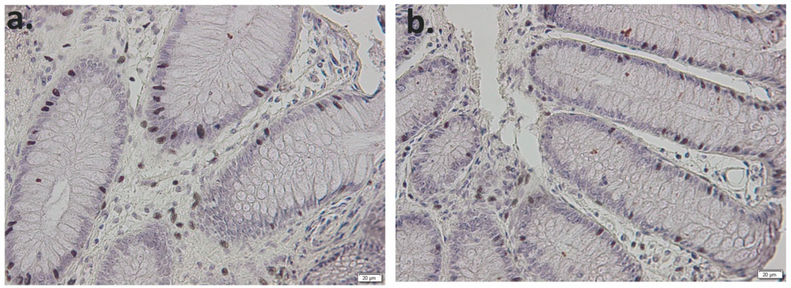 Applsci 11 04710 g007