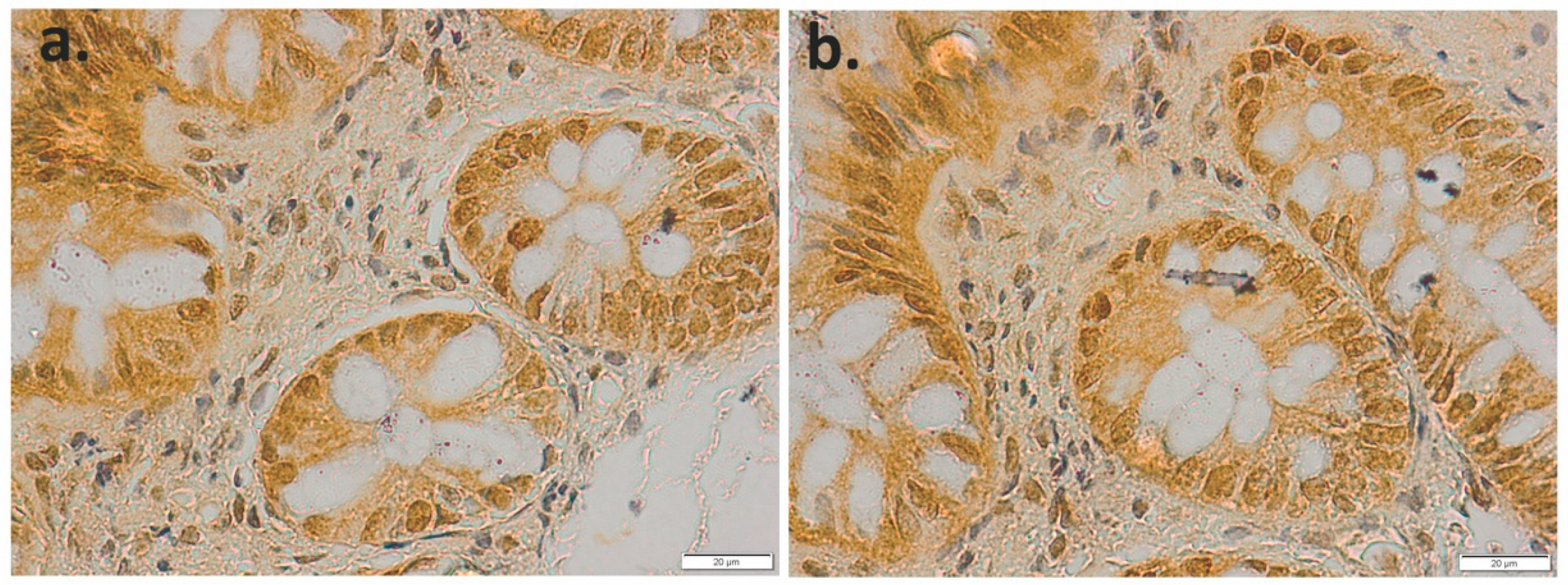 Applsci 11 04710 g013