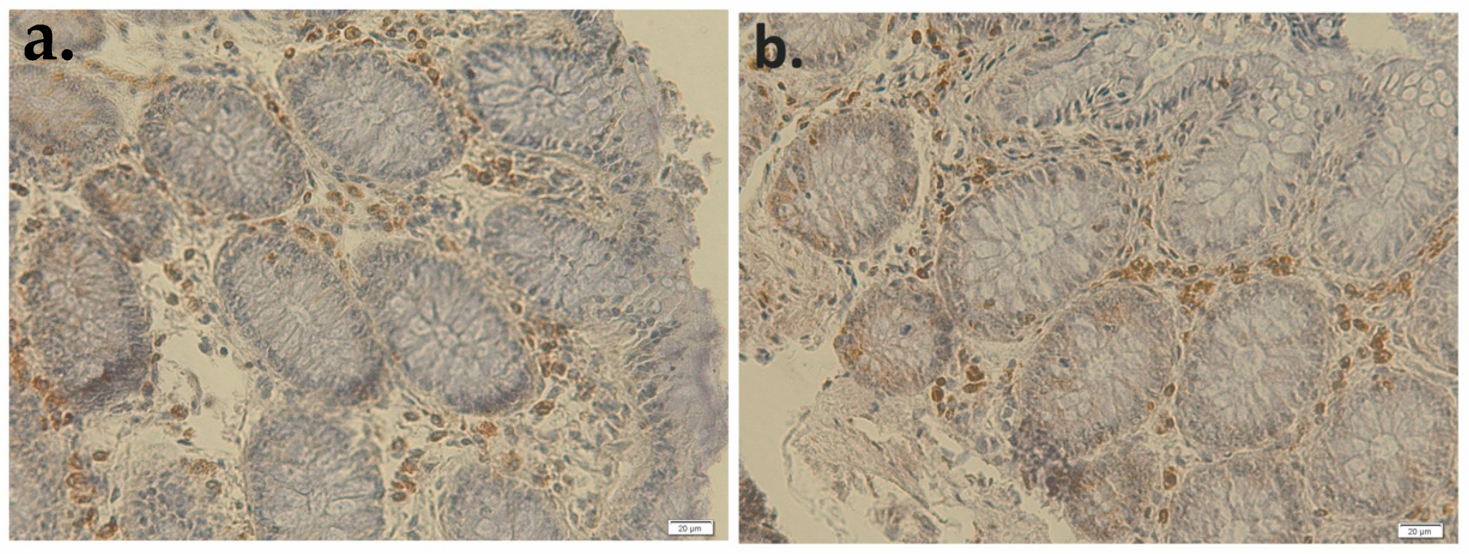 Applsci 11 04710 g014
