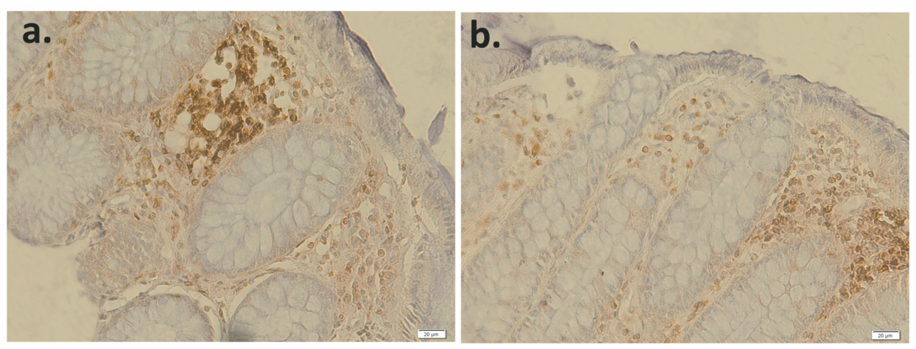 Applsci 11 04710 g015