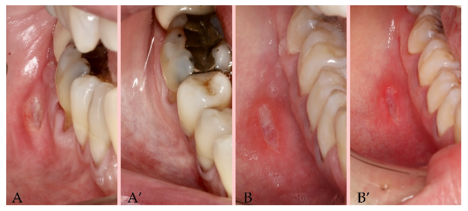 Applsci 11 04717 g005