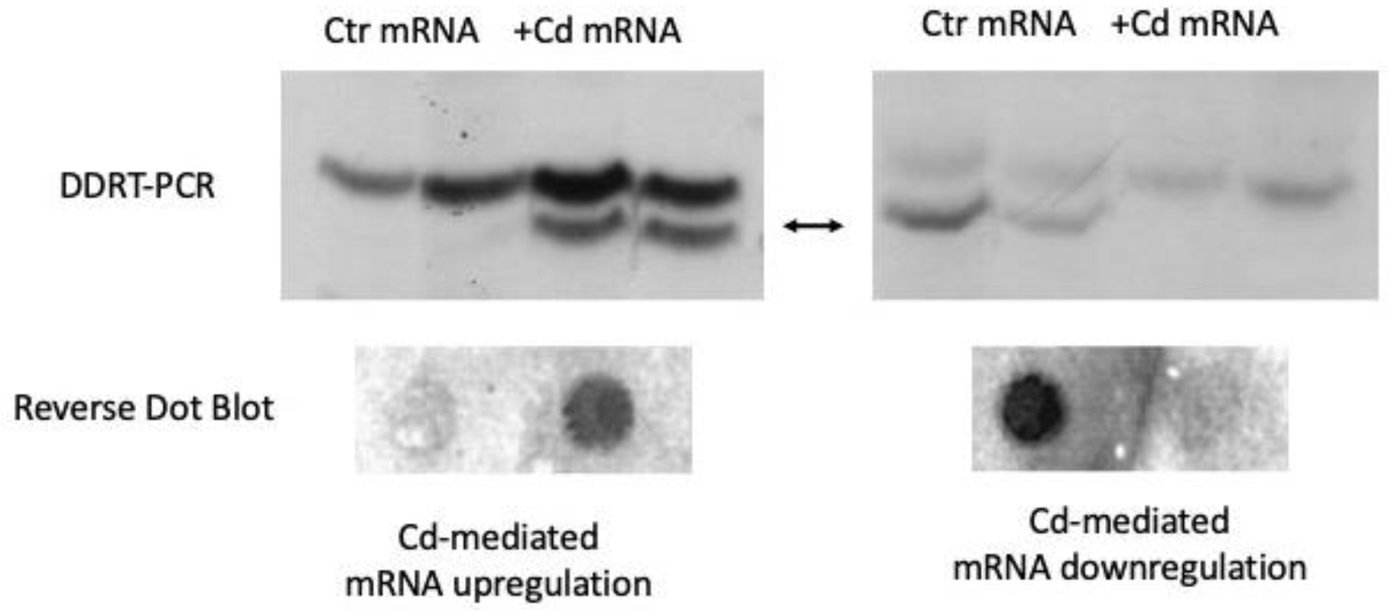 Applsci 11 04723 g001 Applsci 11 04723 g001