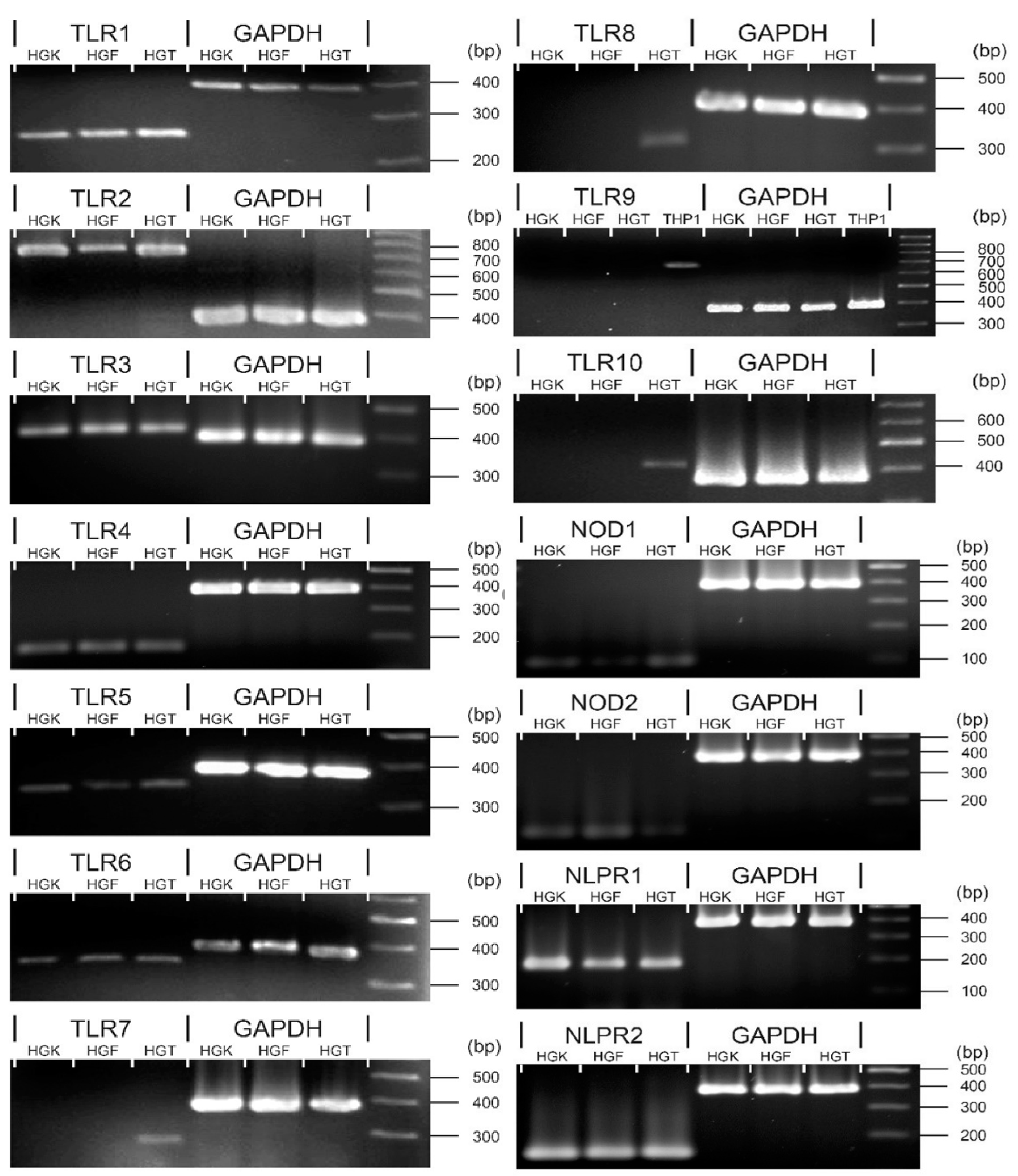 Applsci 11 04724 g002 Applsci 11 04724 g002