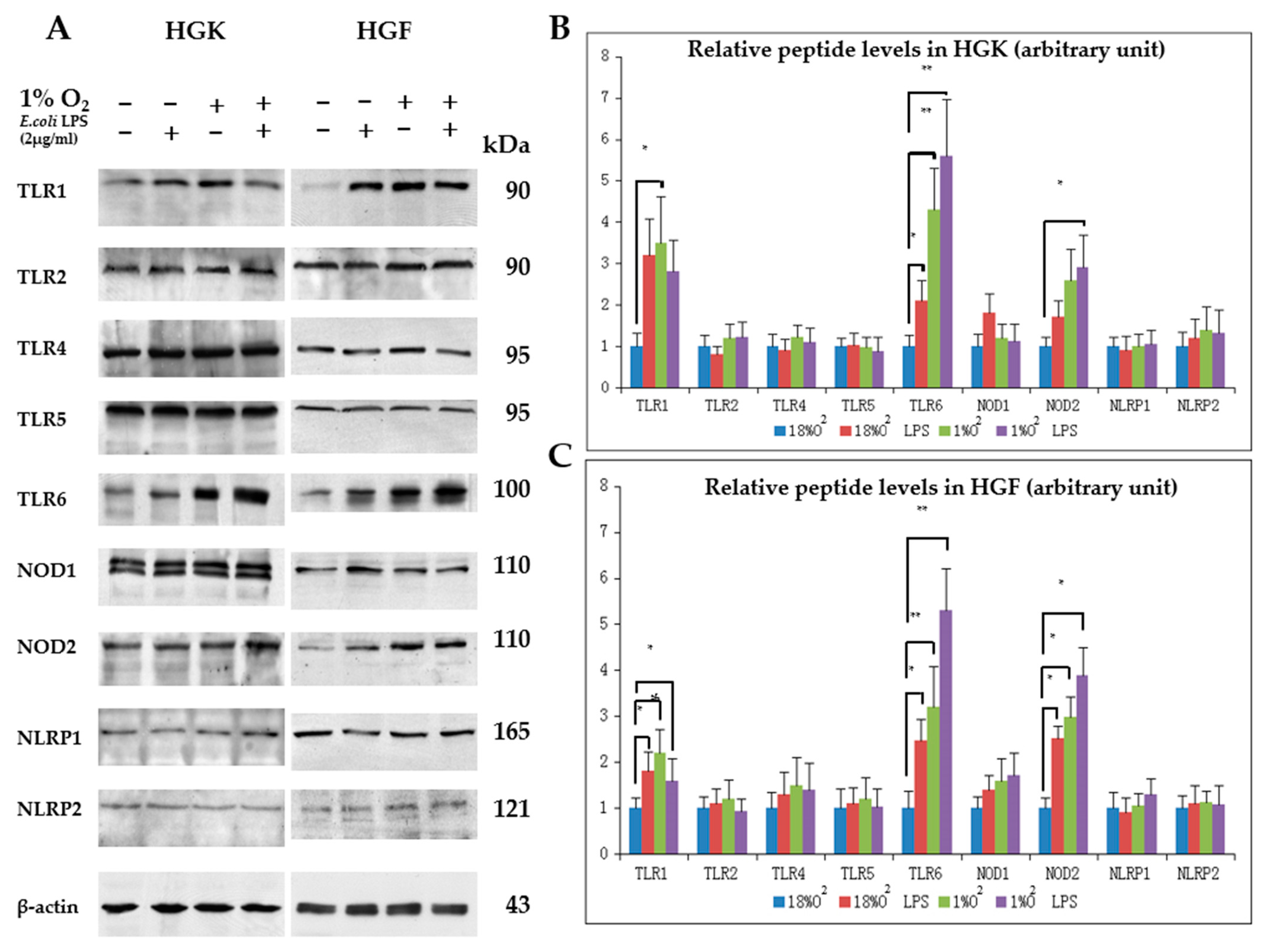 Applsci 11 04724 g003 Applsci 11 04724 g003