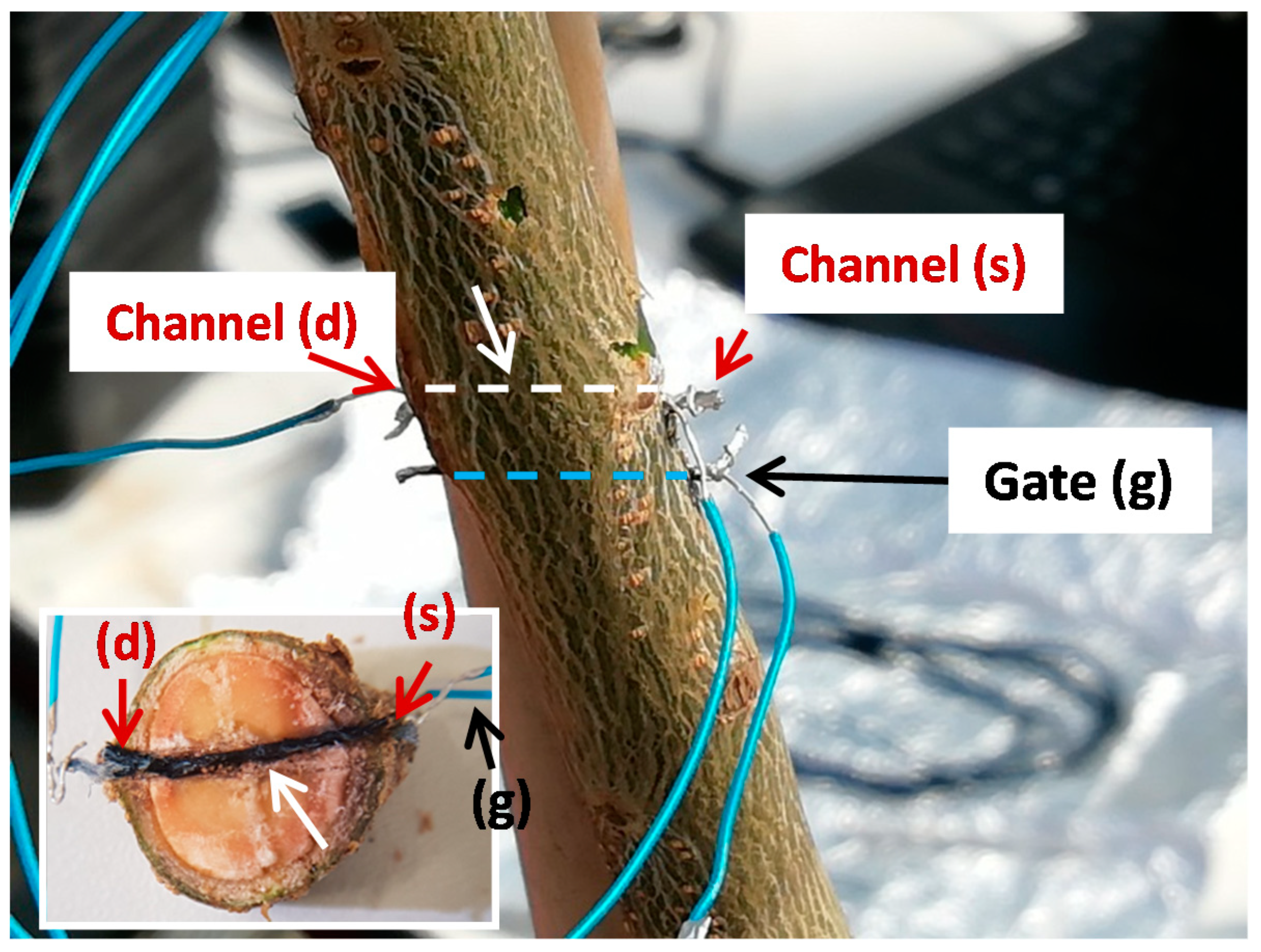 Applsci 11 04729 g001