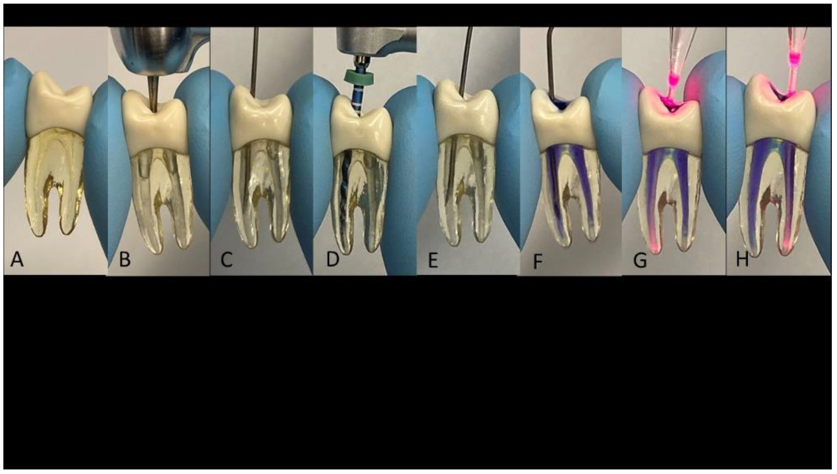 Applied Sciences Free FullText Advancing Photodynamic Therapy for