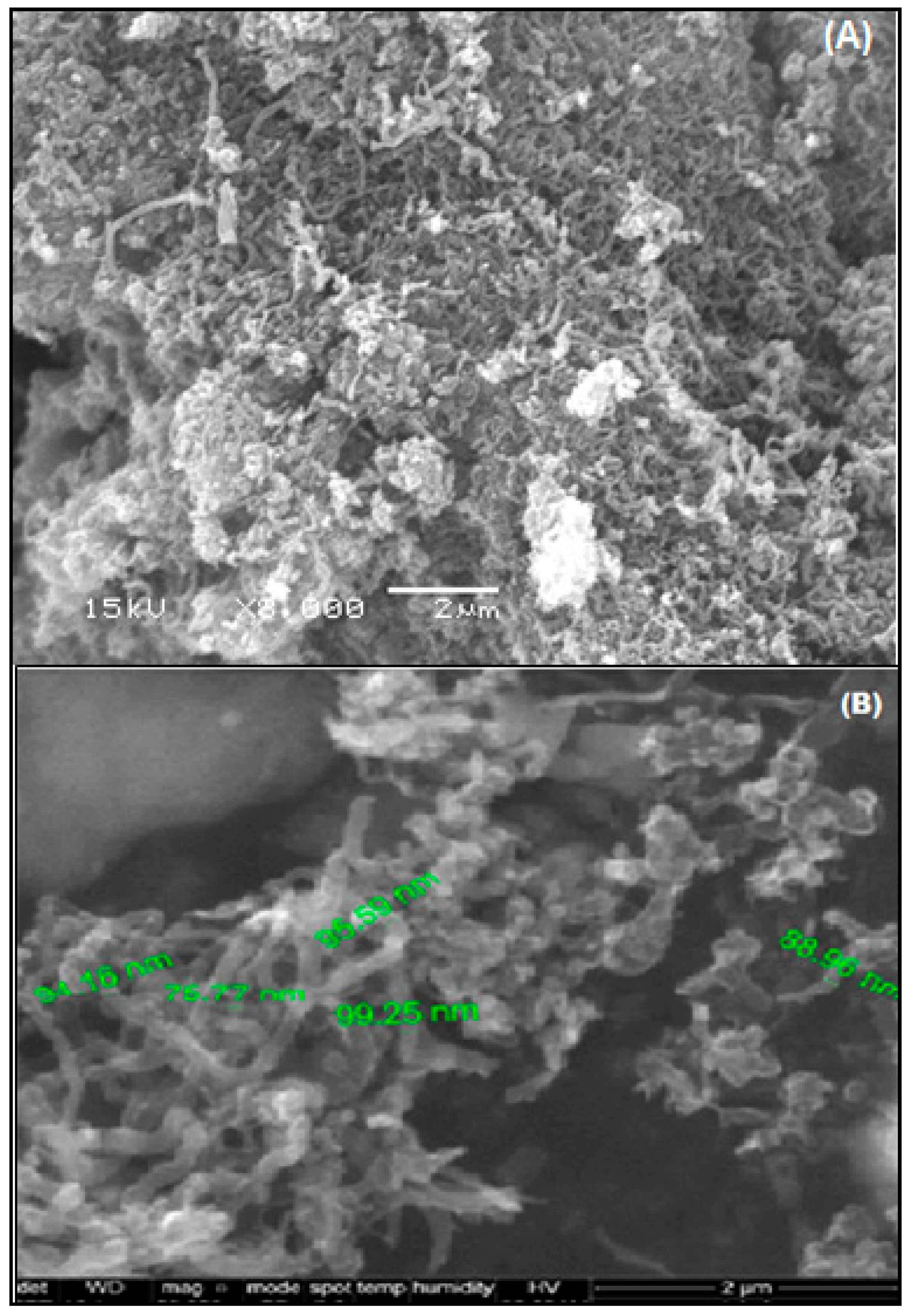 Applsci 11 04786 g003 Applsci 11 04786 g003