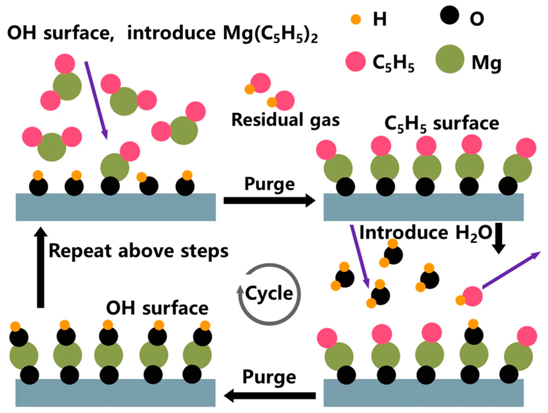 Applsci 11 04801 g001