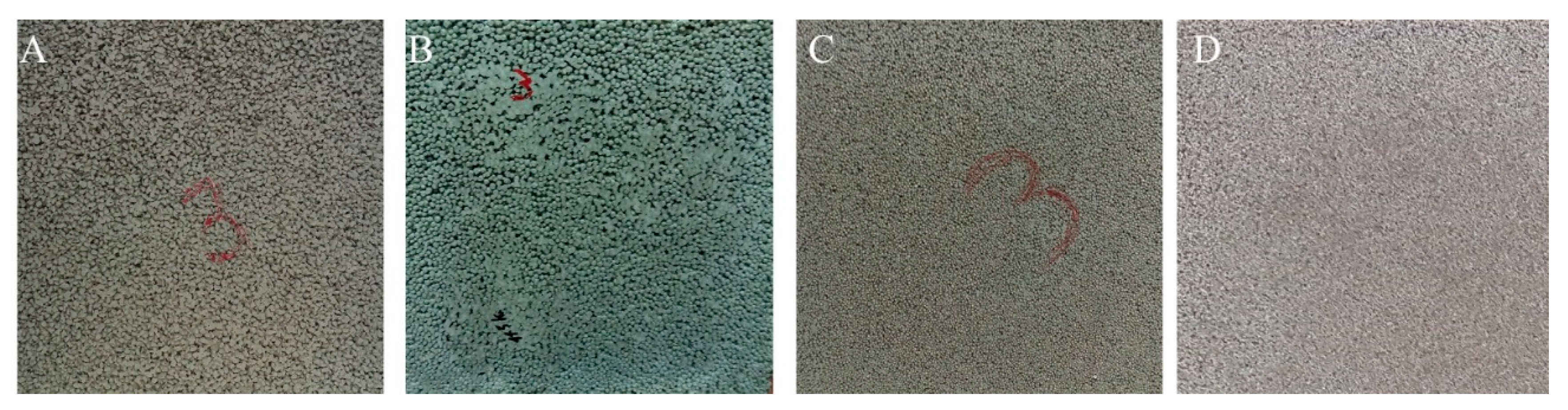 Applsci 11 04835 g006