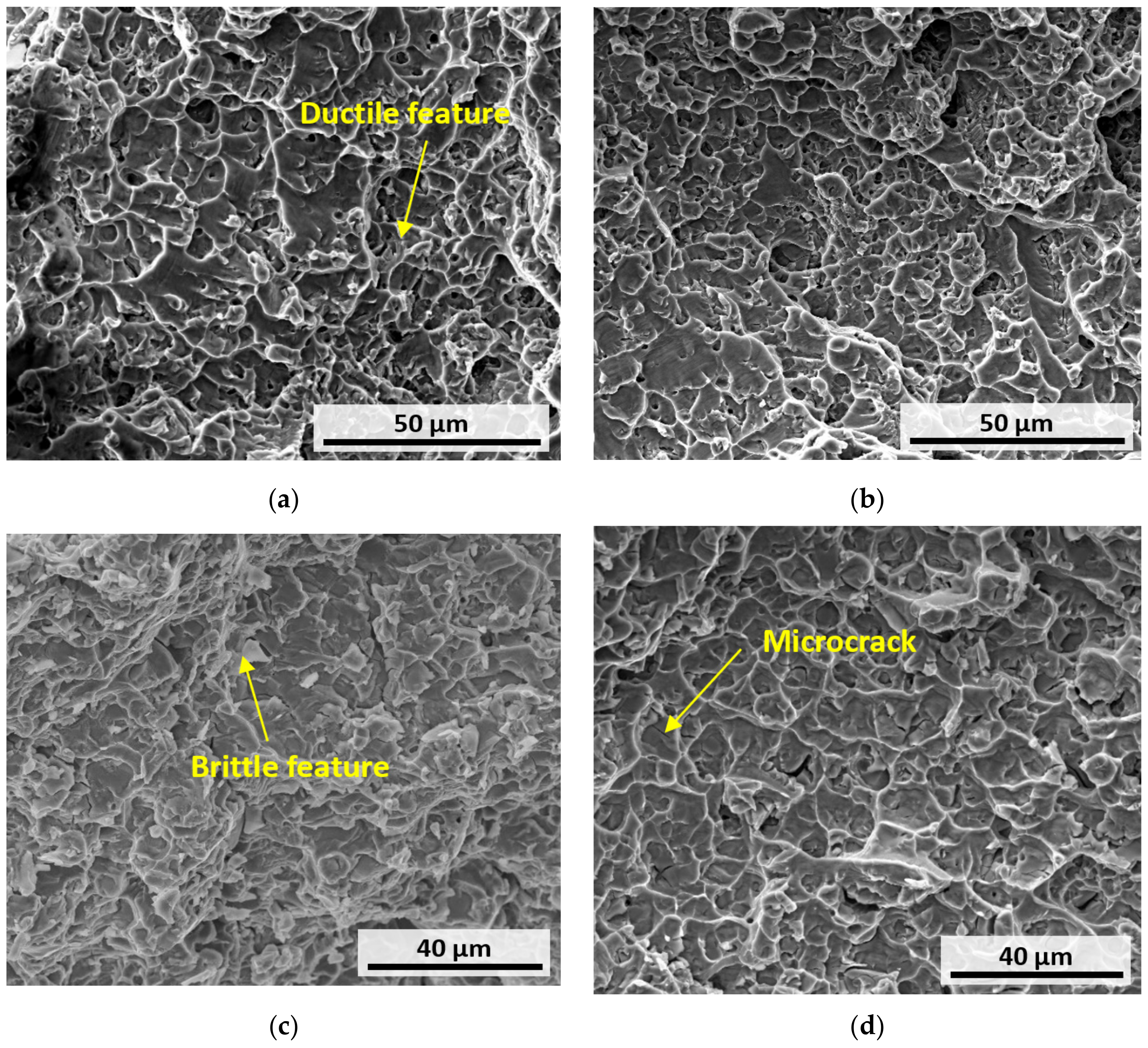 Applsci 11 04863 g011