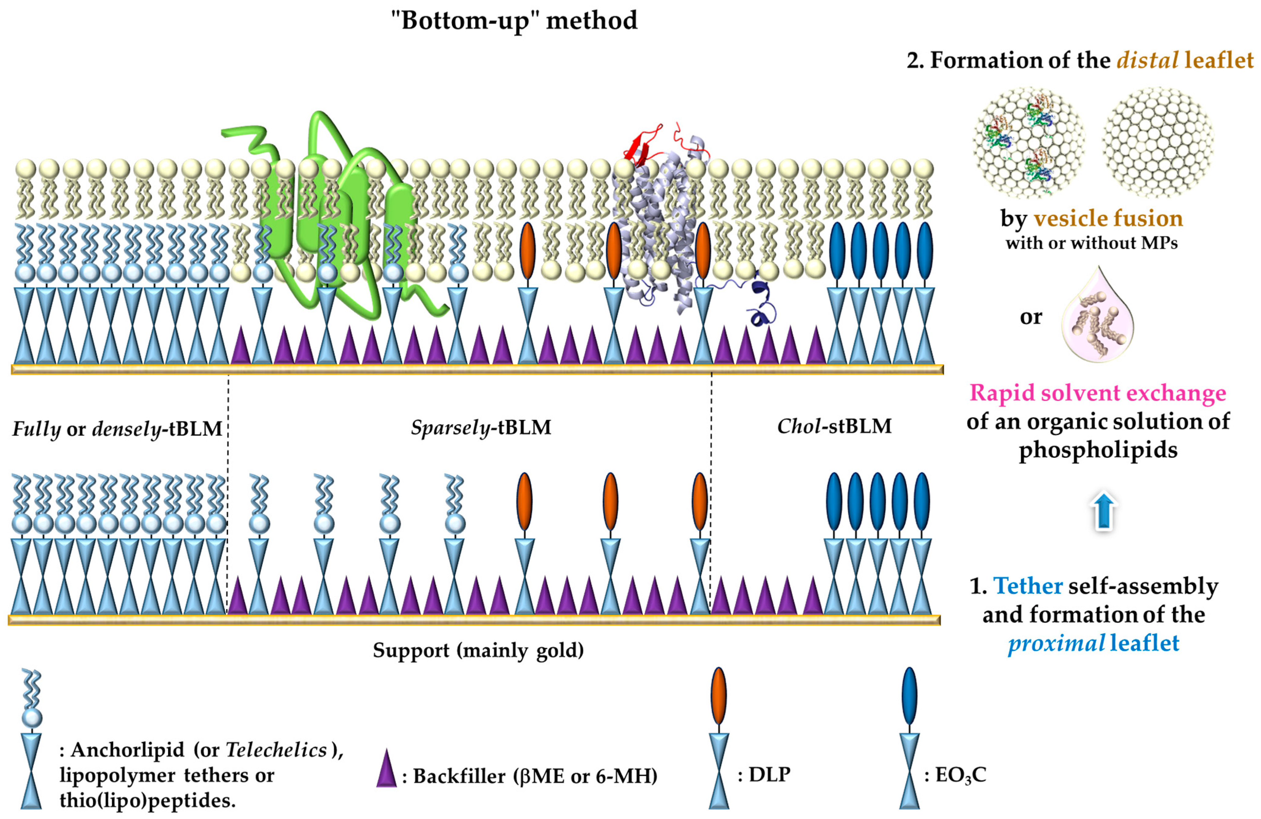 Applsci 11 04876 g001