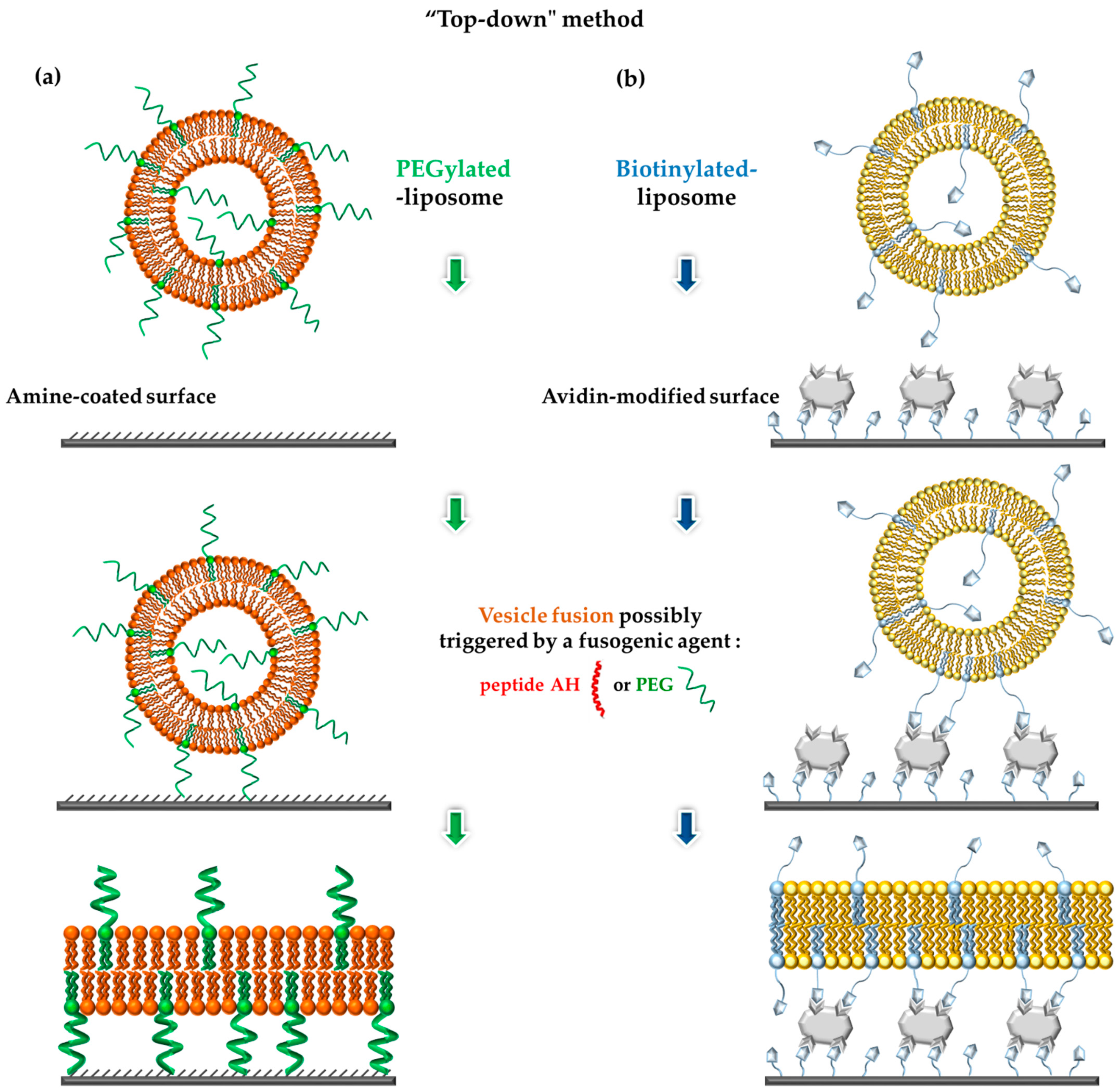 Applsci 11 04876 g002