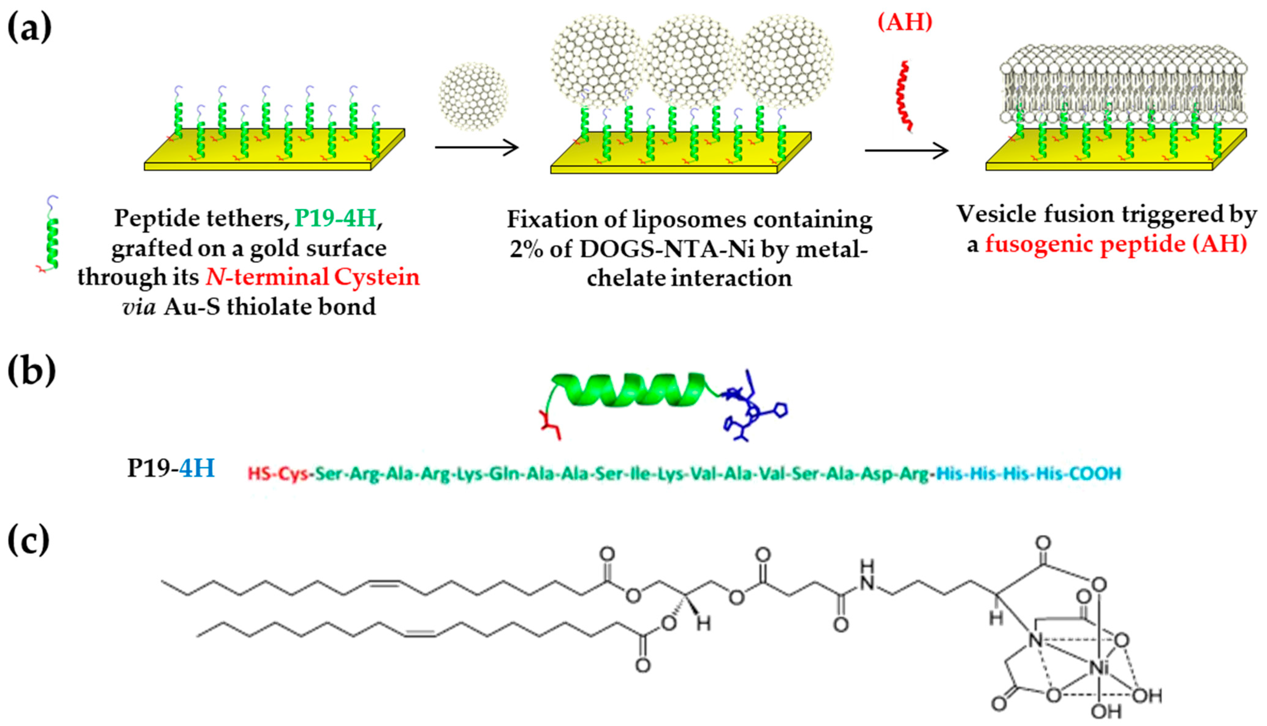 Applsci 11 04876 g003
