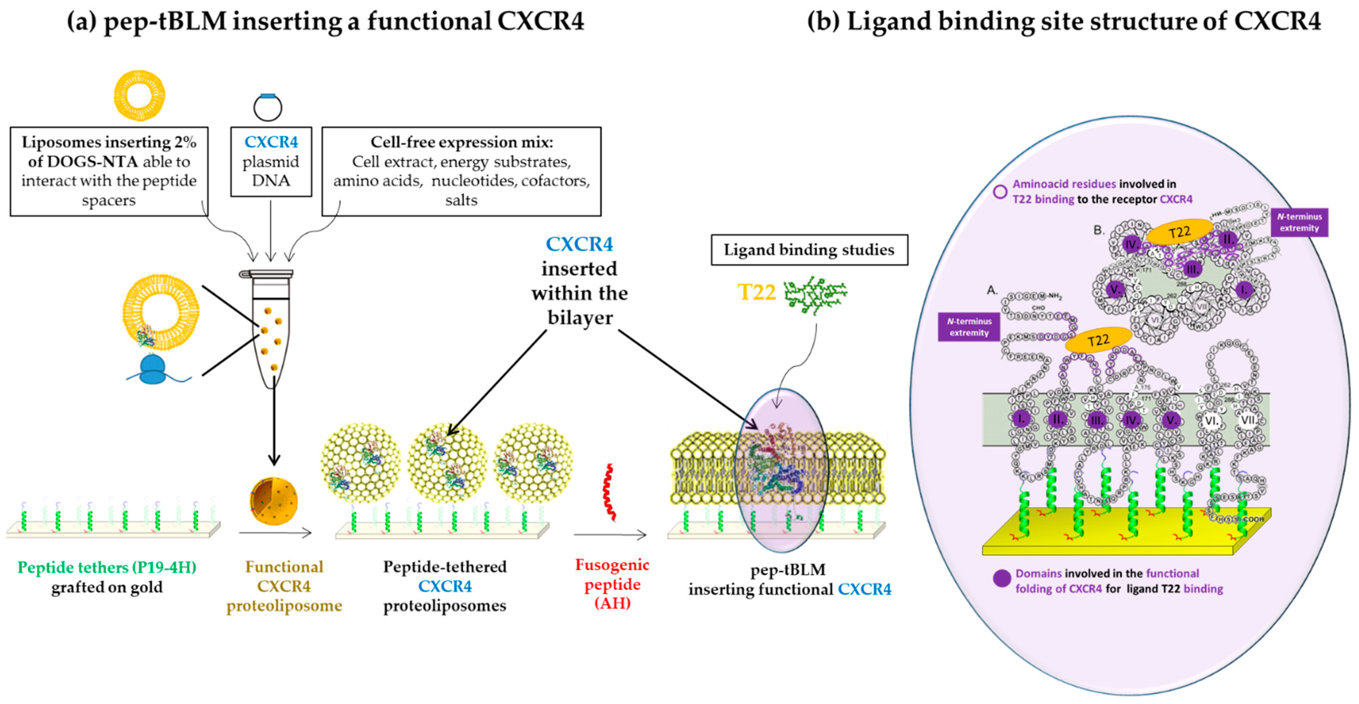 Applsci 11 04876 g004