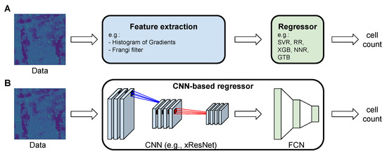 U-Net: deep learning for cell counting, detection, and morphometry