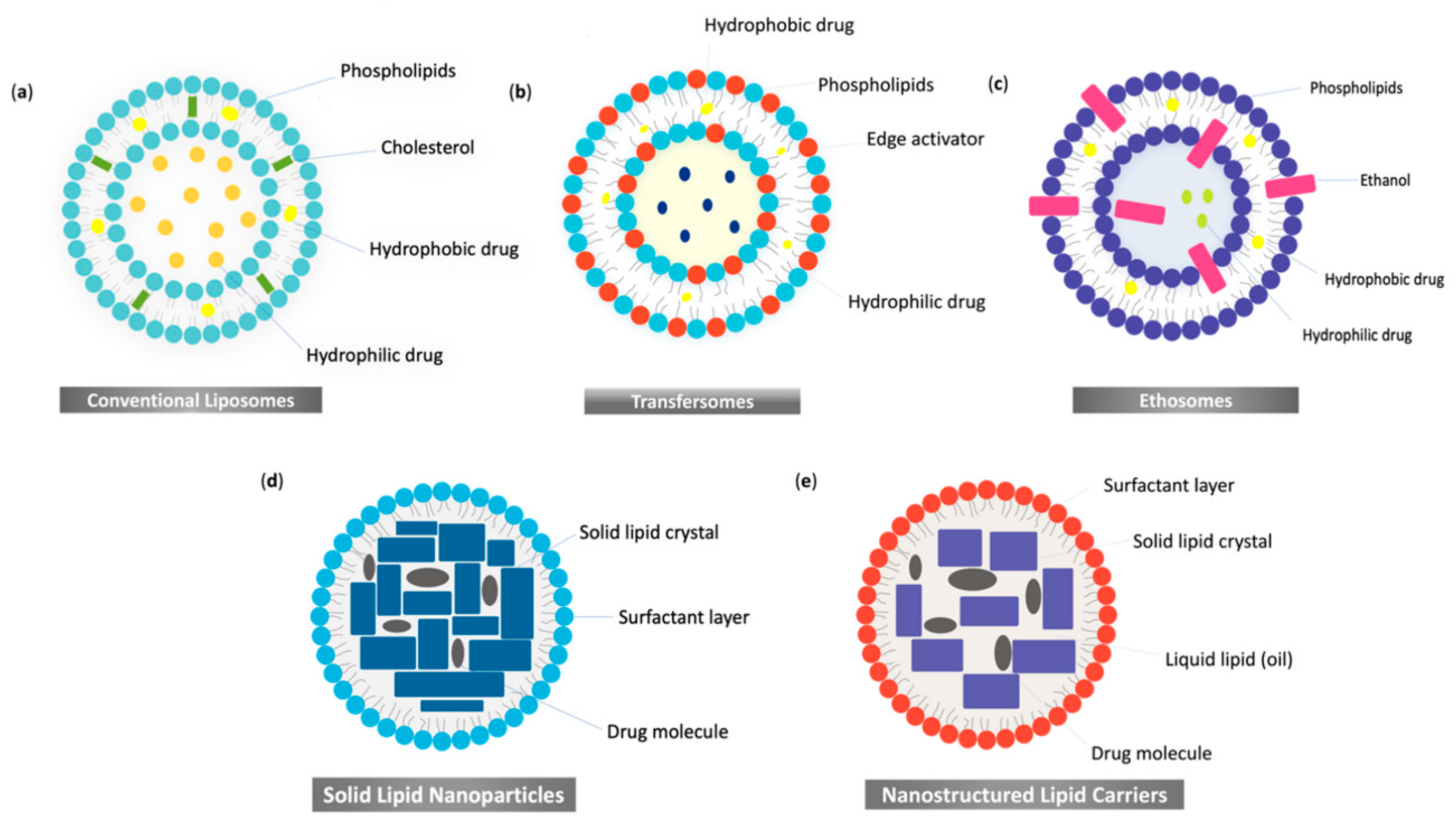 Applsci 11 04915 g002 Applsci 11 04915 g002