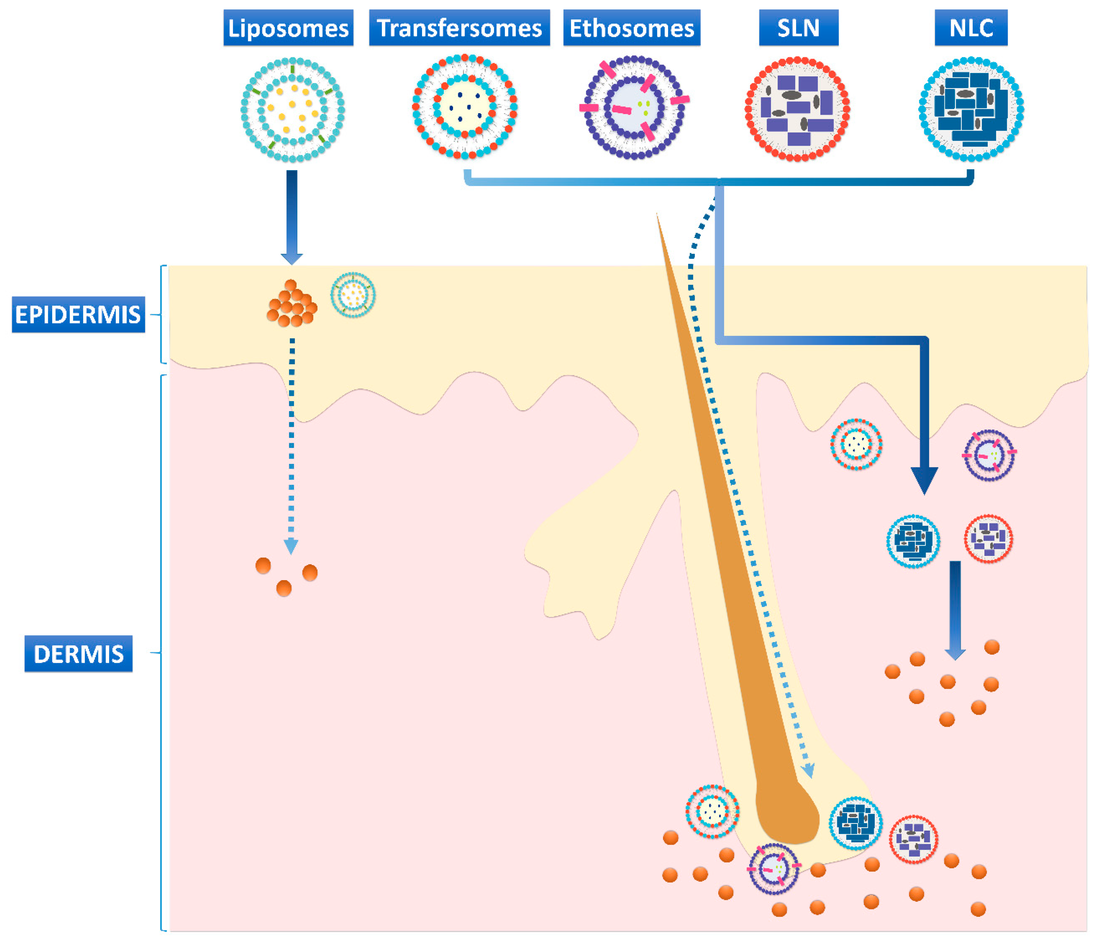 Applsci 11 04915 g003 Applsci 11 04915 g003