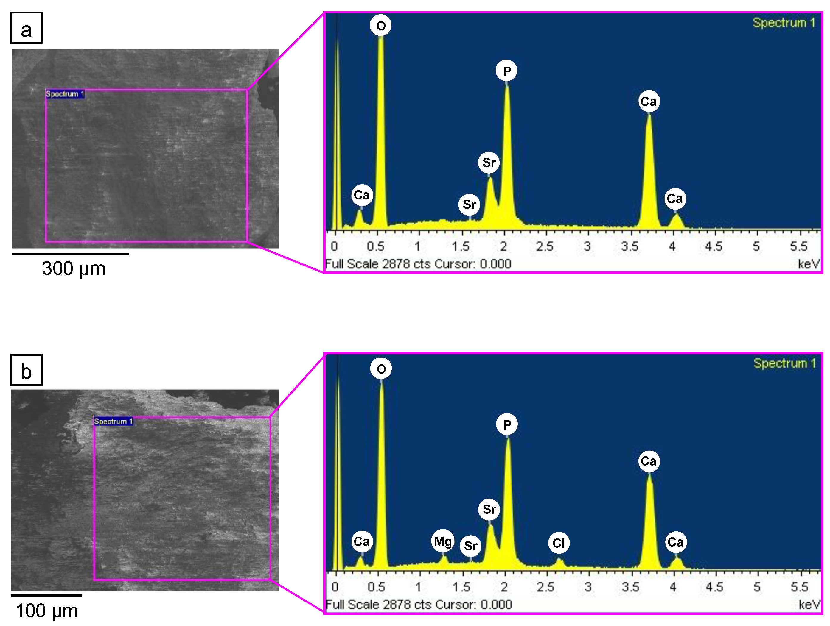 Applsci 11 04930 g004 Applsci 11 04930 g004