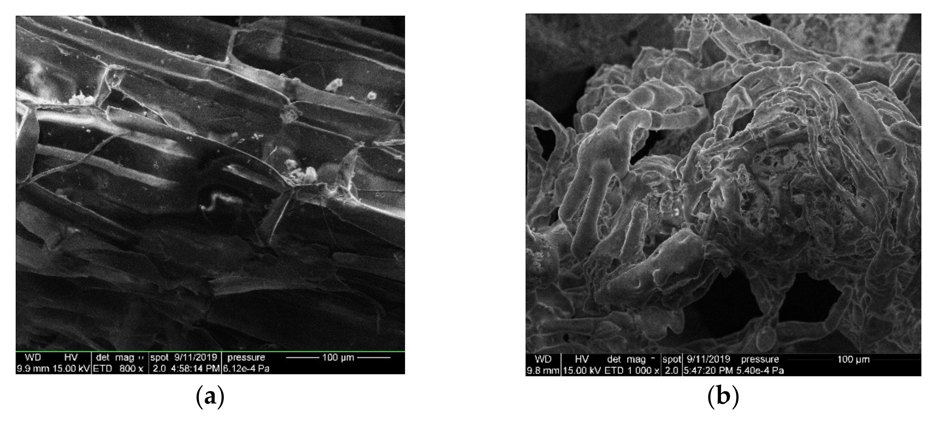 Applsci 11 04935 g001