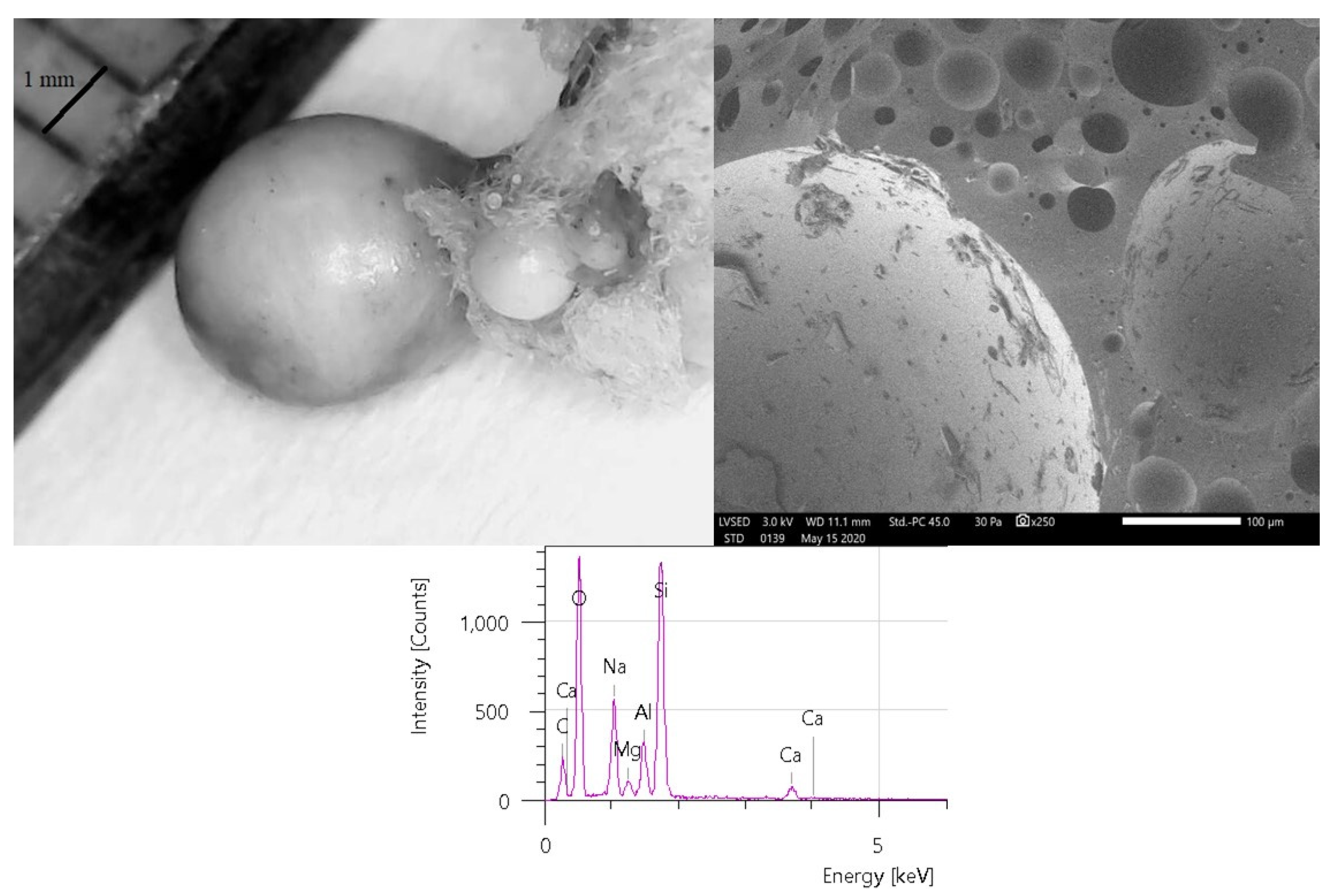 Applsci 11 04943 g009