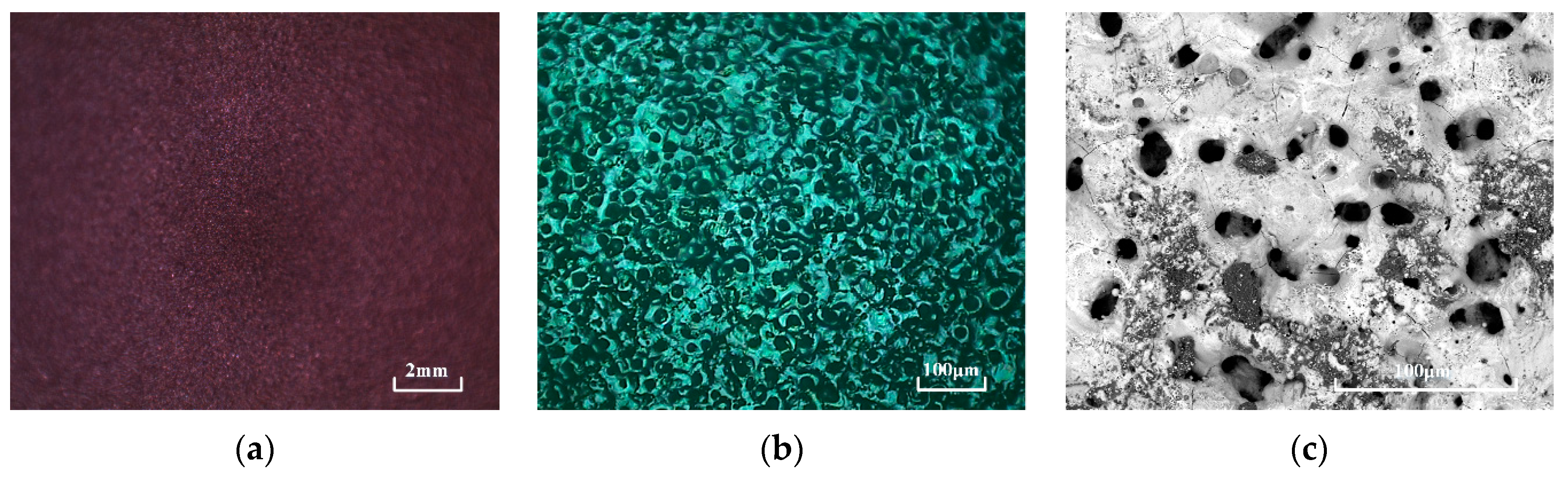 Applsci 11 04952 g002