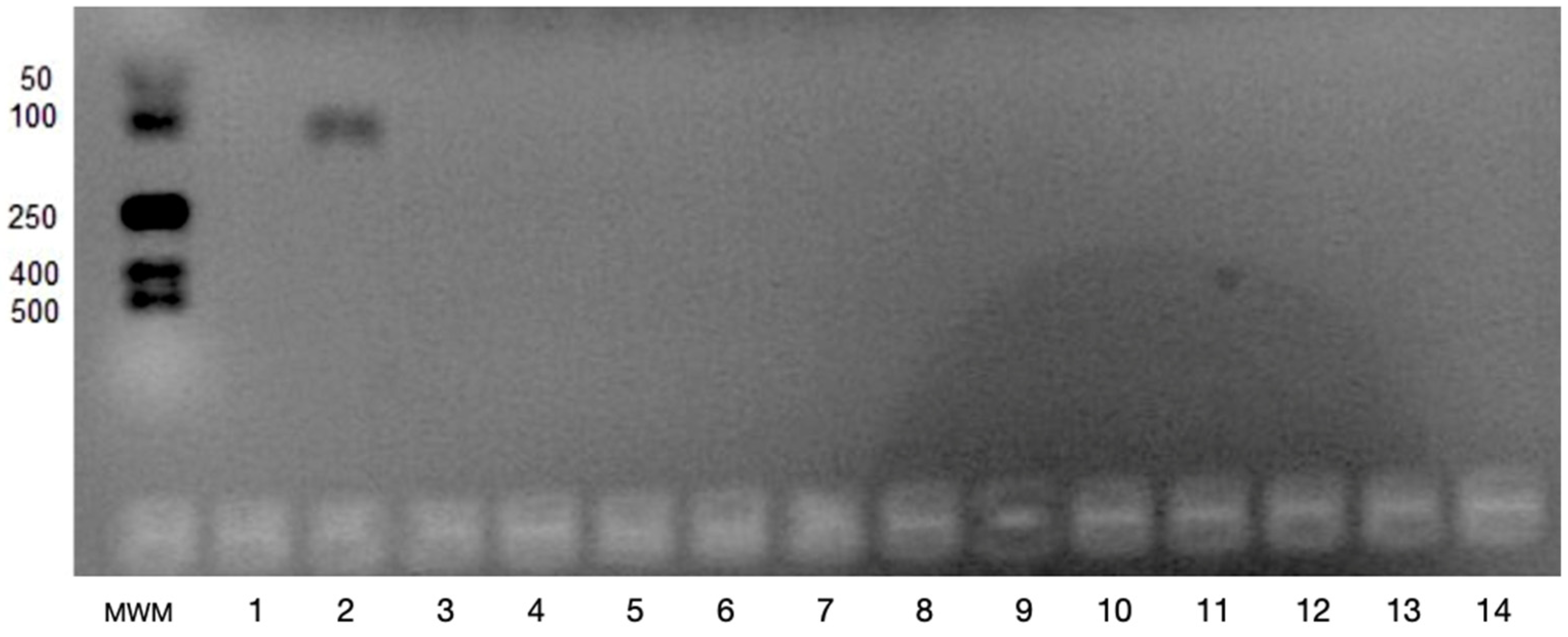 Applsci 11 04976 g001