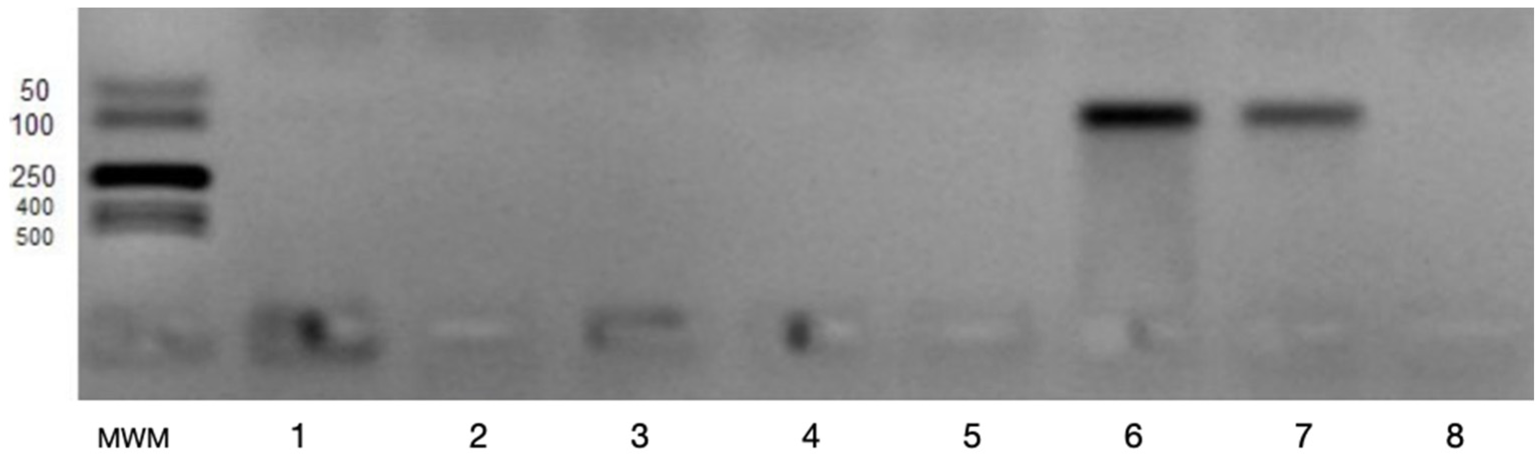 Applsci 11 04976 g002