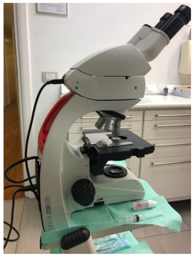 Applsci 11 04985 g008