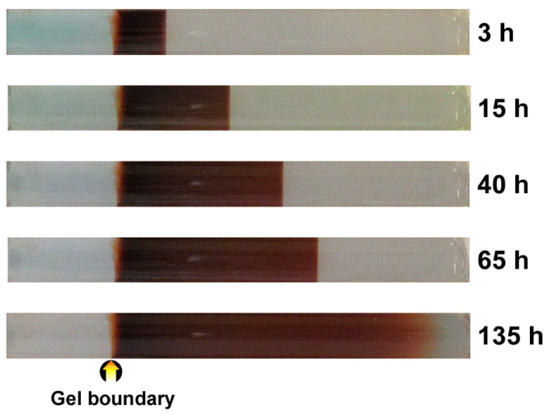 Applsci 11 05000 g003 Applsci 11 05000 g003