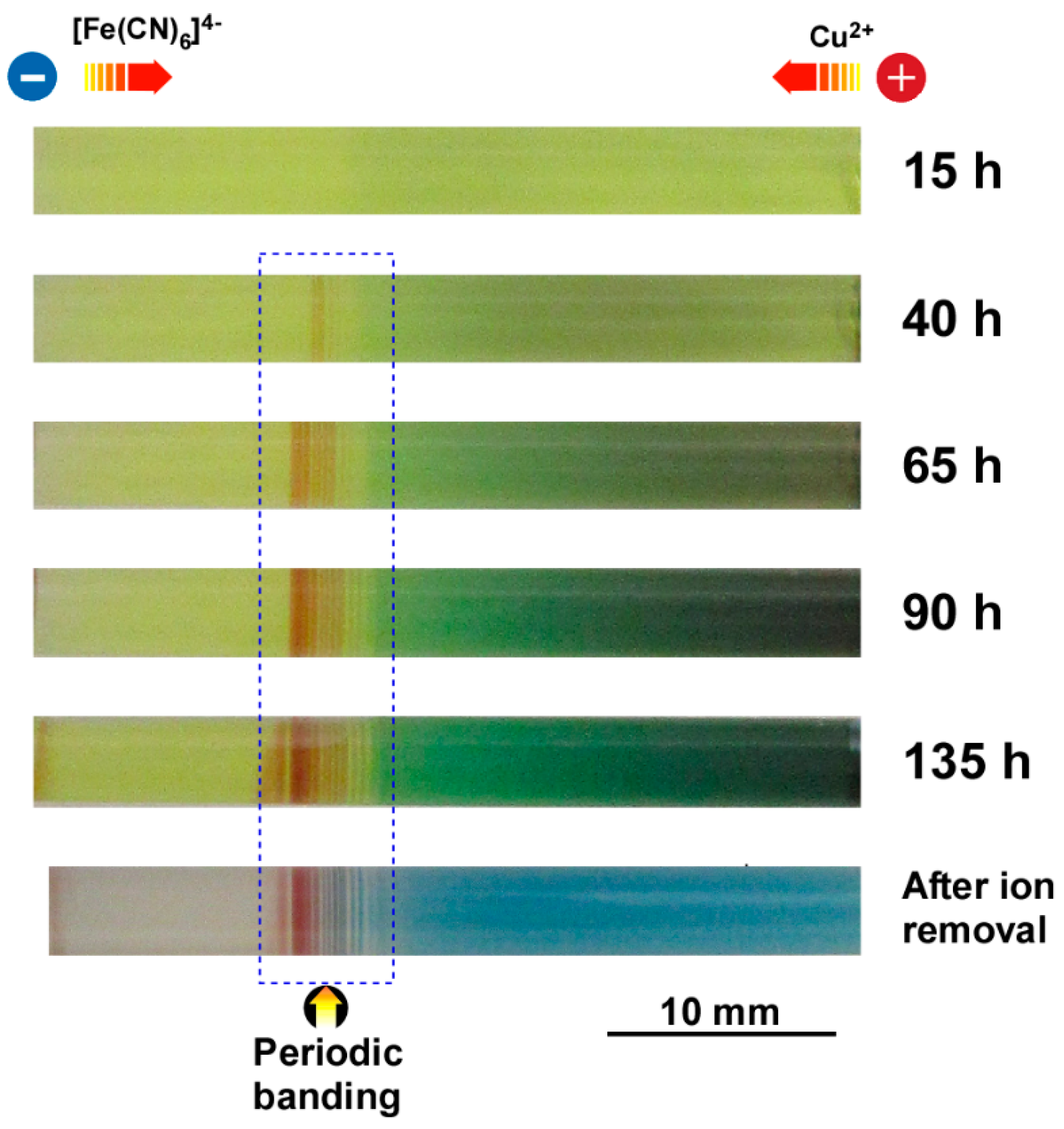Applsci 11 05000 g008 Applsci 11 05000 g008