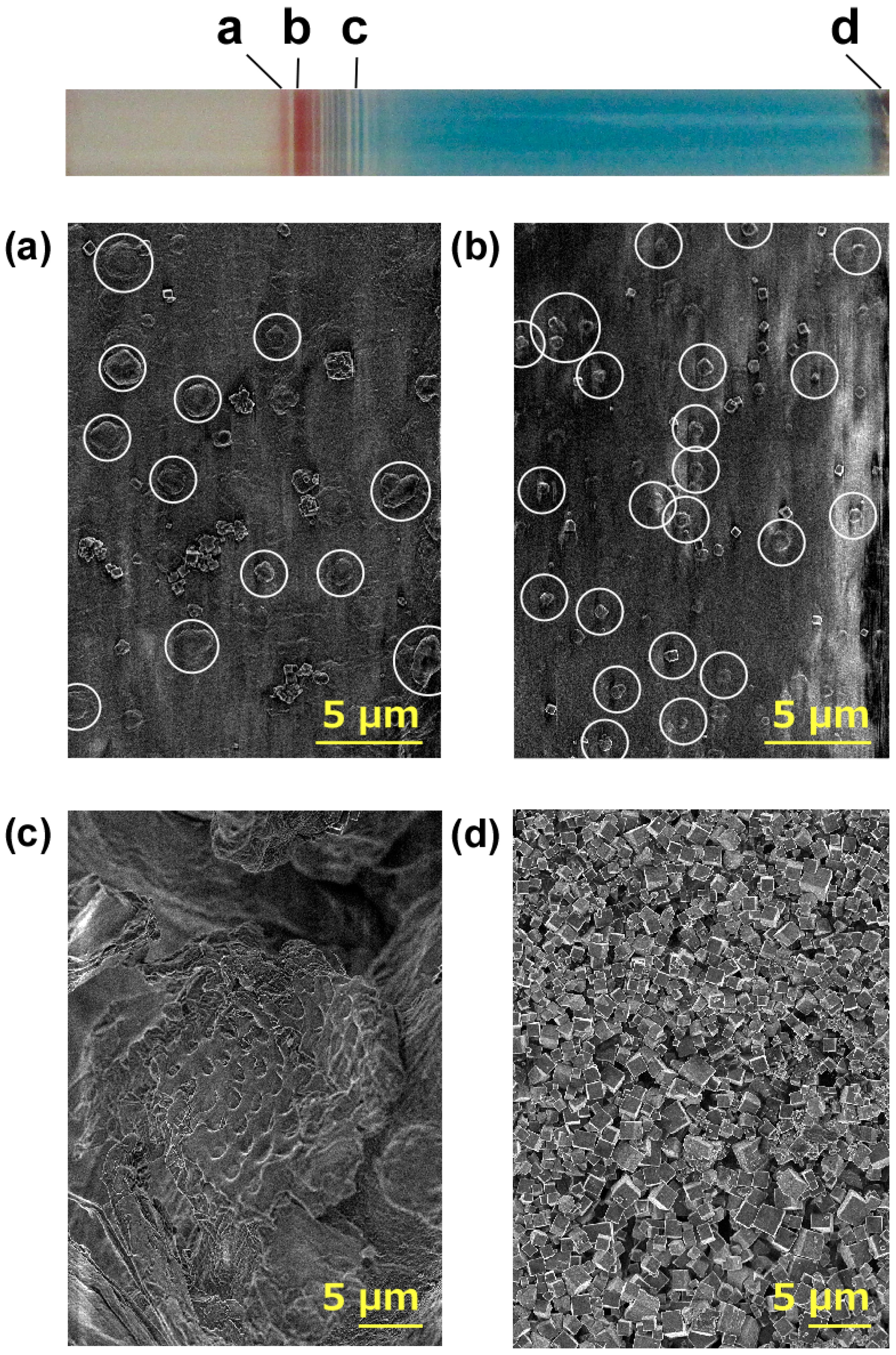 Applsci 11 05000 g013 Applsci 11 05000 g013