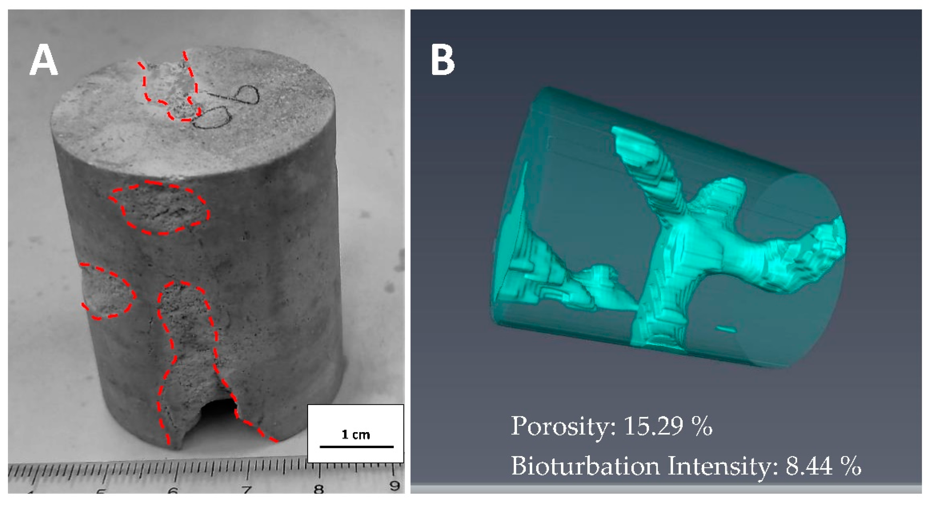 Applsci 11 05019 g002 Applsci 11 05019 g002
