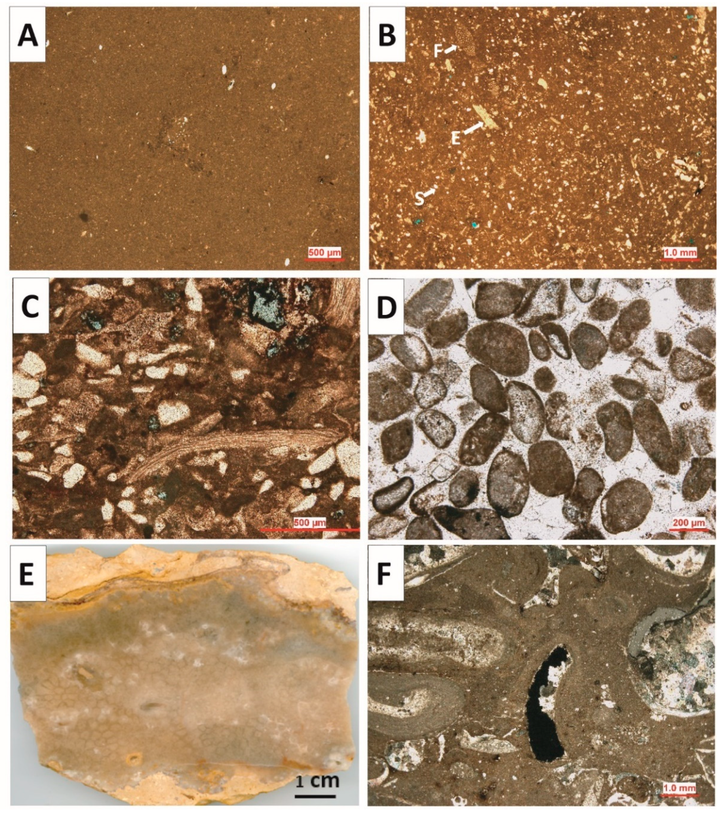 Applsci 11 05019 g003 Applsci 11 05019 g003