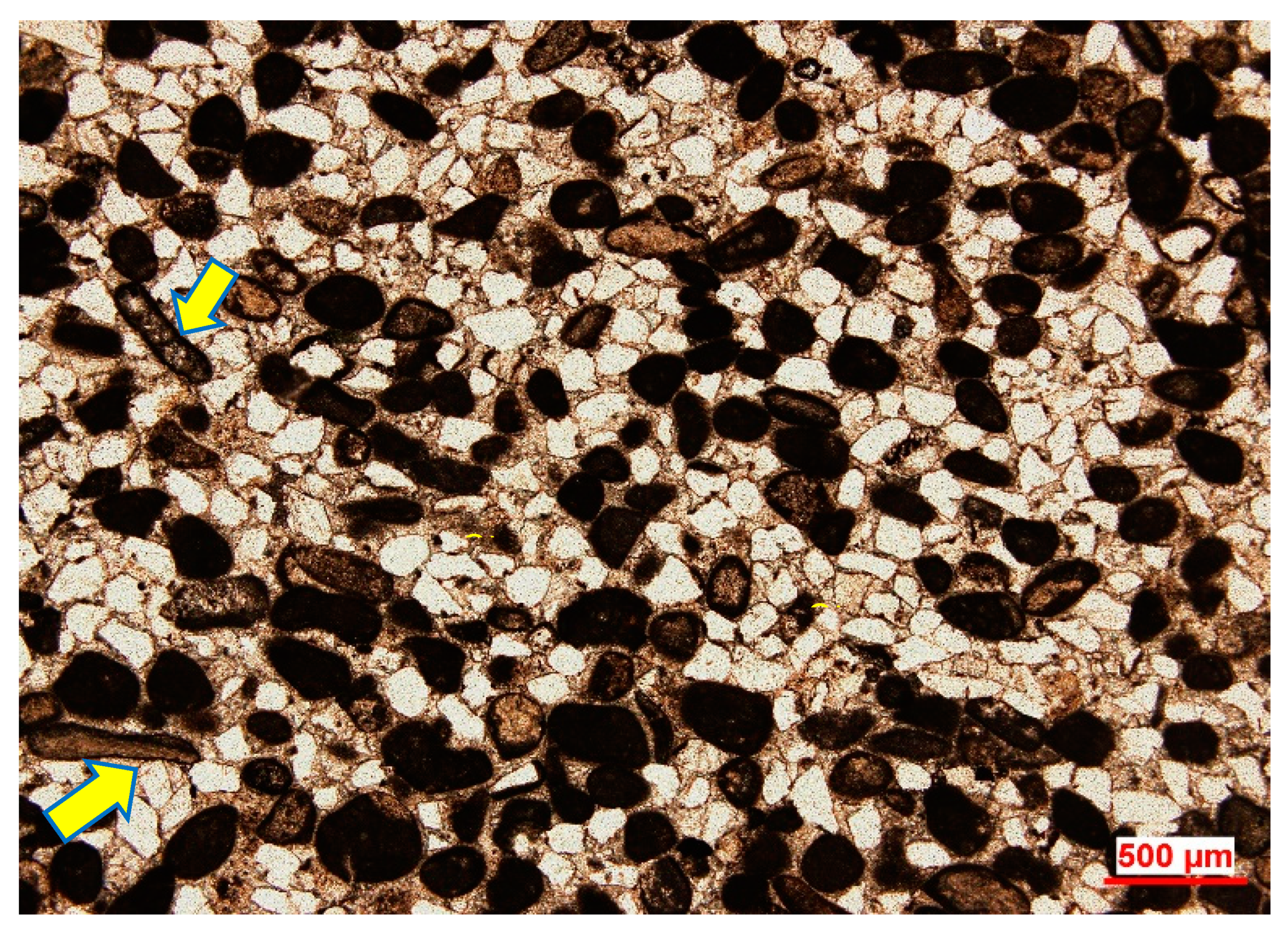 Applsci 11 05019 g004 Applsci 11 05019 g004