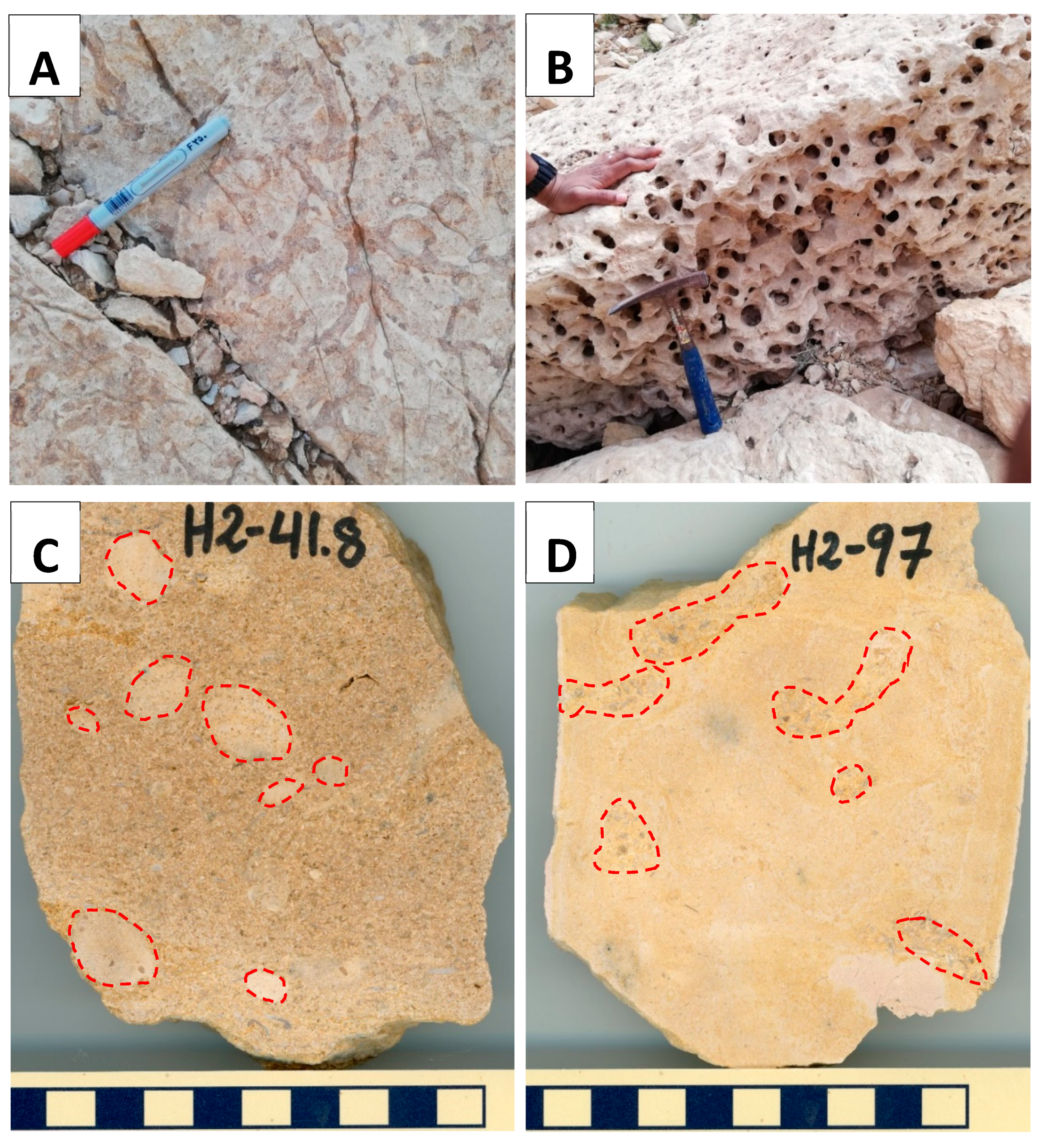 Applsci 11 05019 g006 Applsci 11 05019 g006