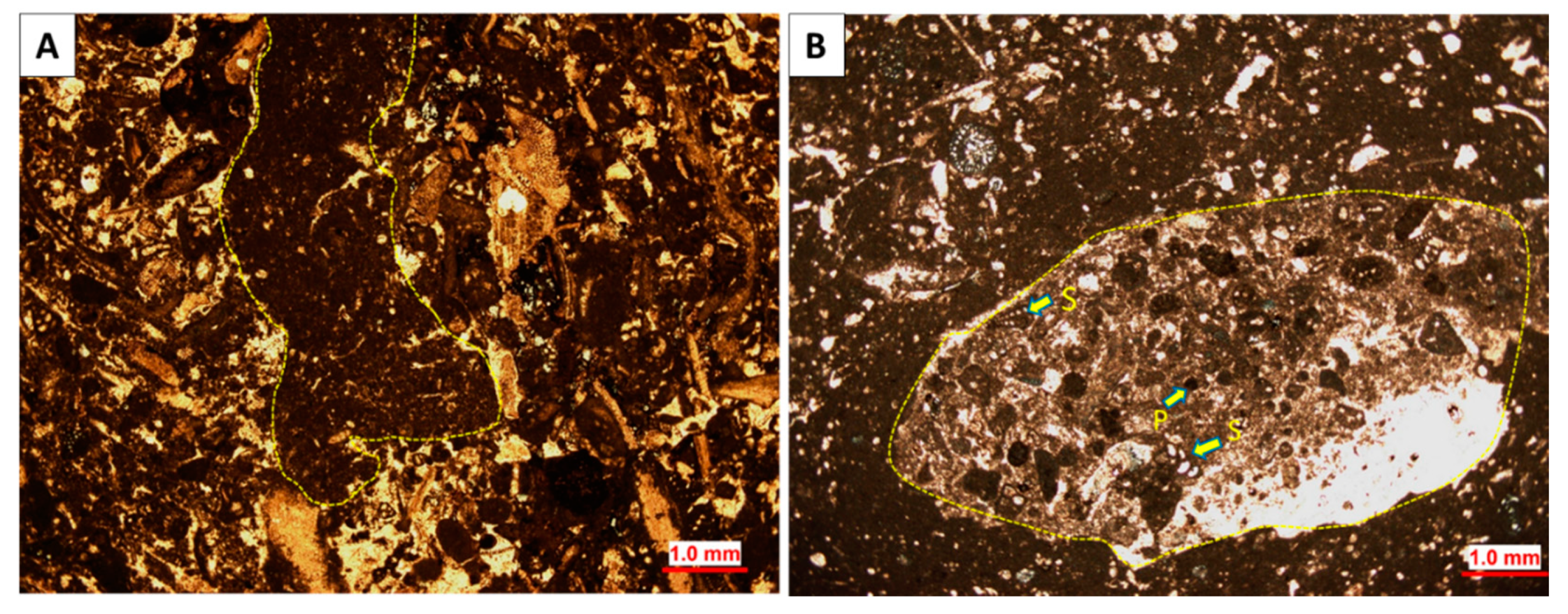 Applsci 11 05019 g007 Applsci 11 05019 g007