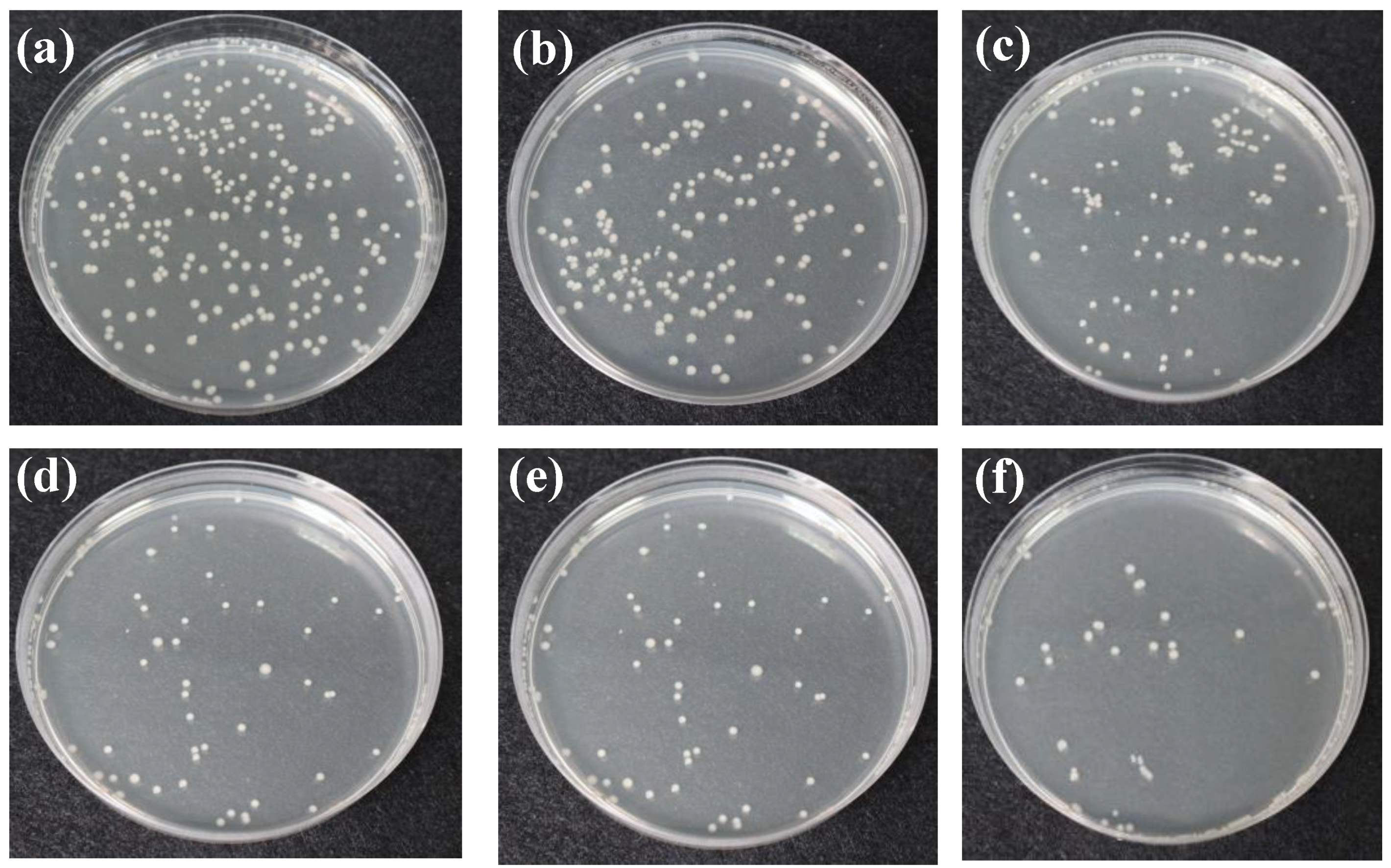 Applsci 11 05021 g008