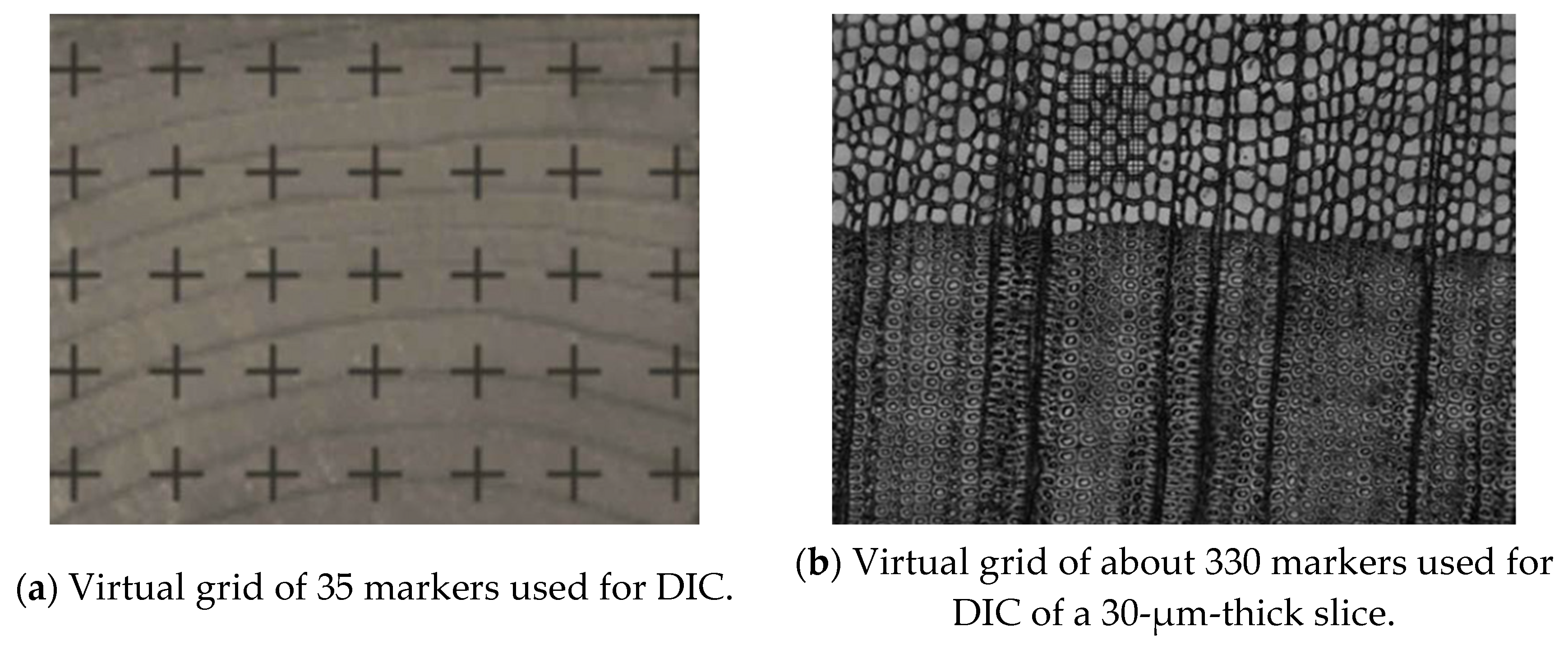 Applsci 11 05023 g008