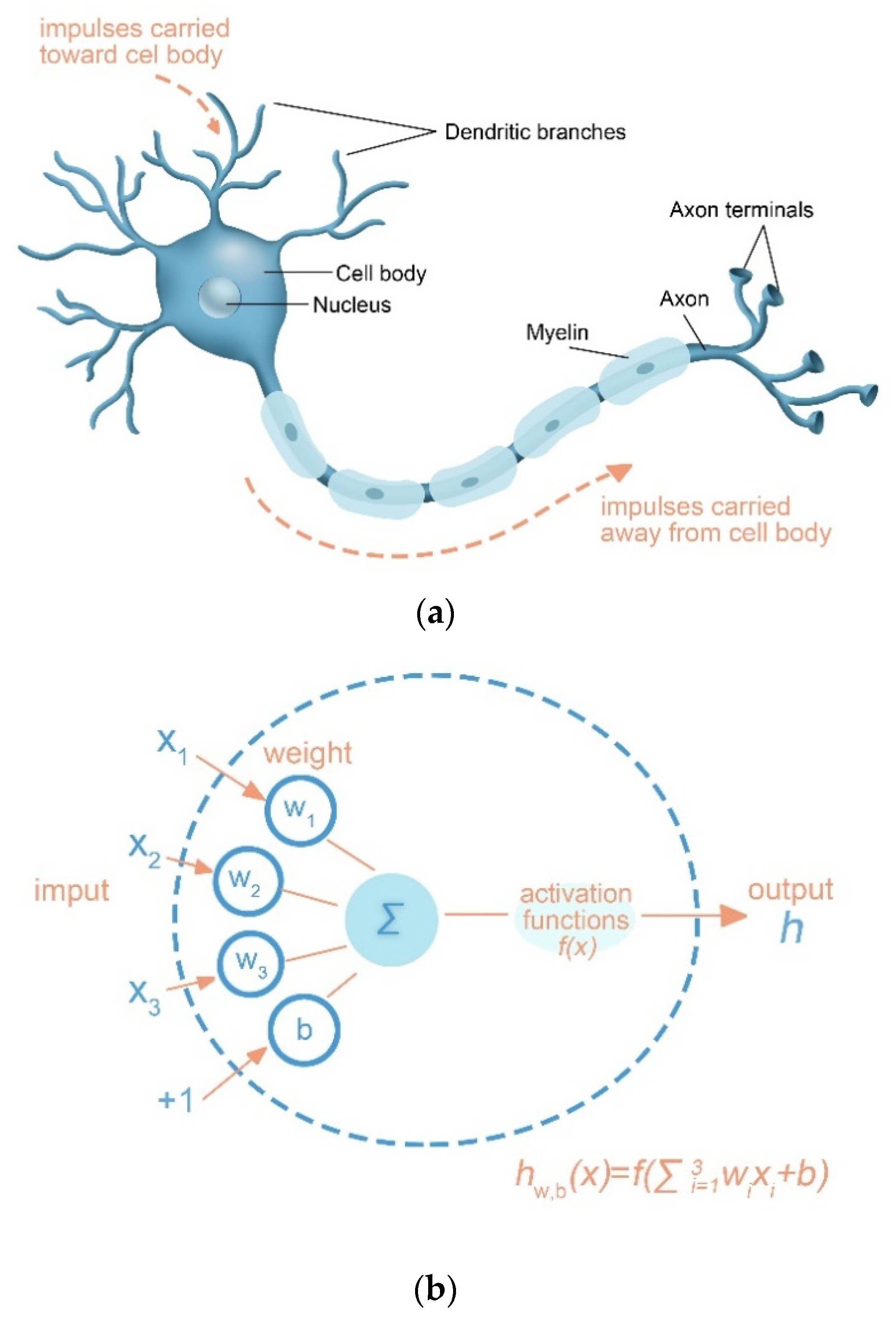 Applsci 11 05023 g009