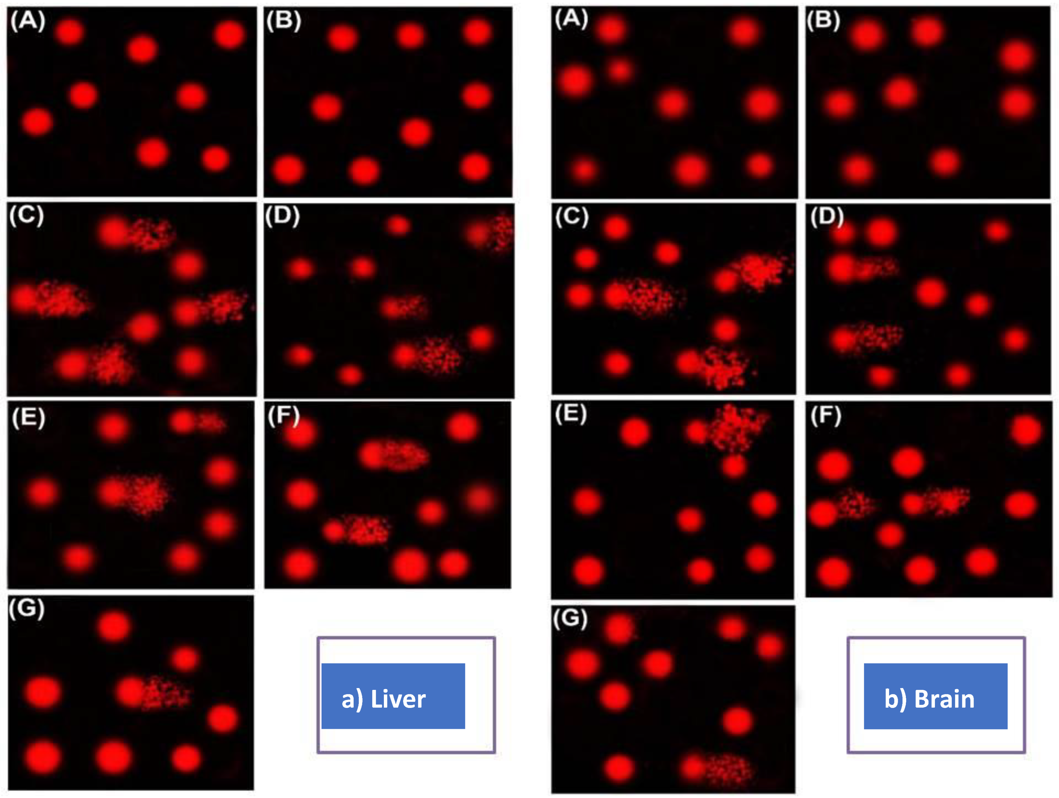 Applsci 11 05059 g004