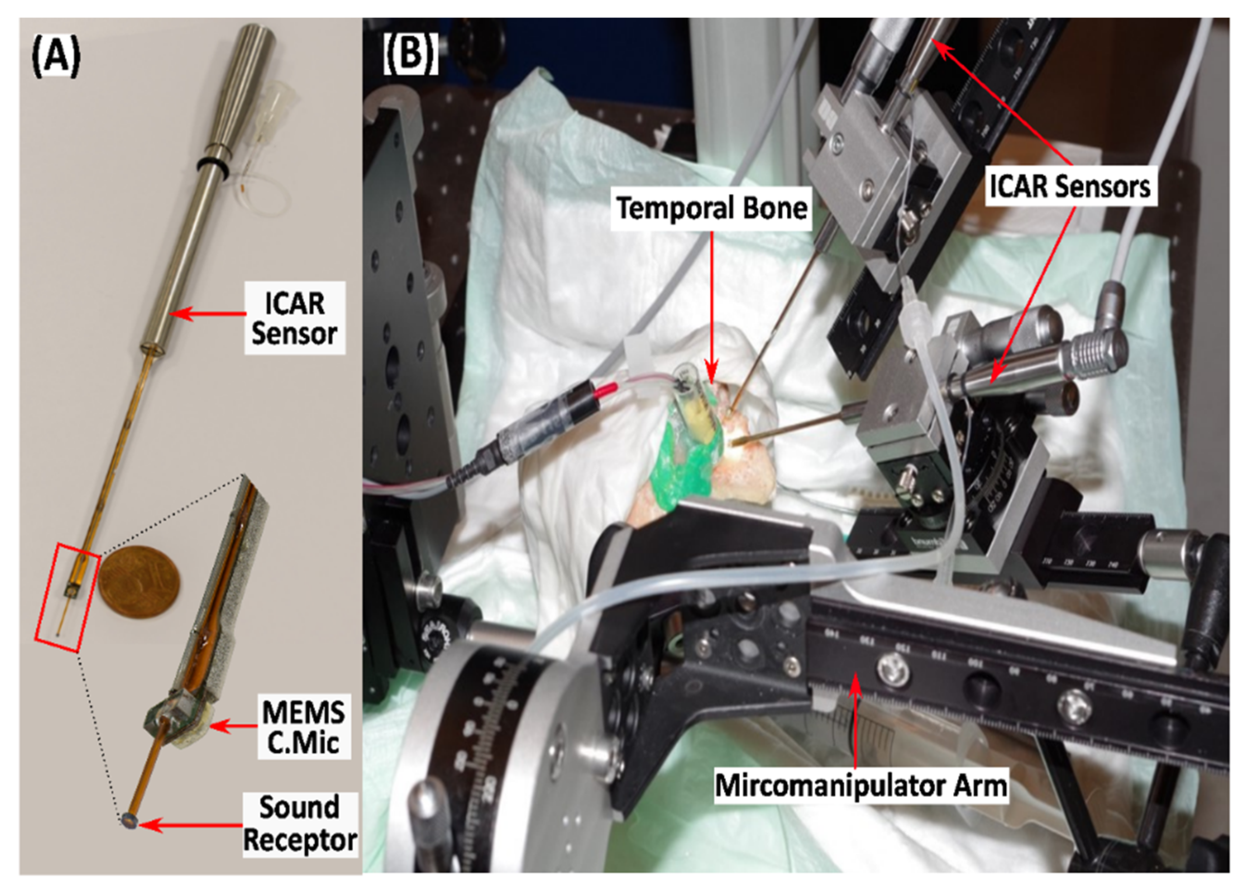Applsci 11 05062 g001