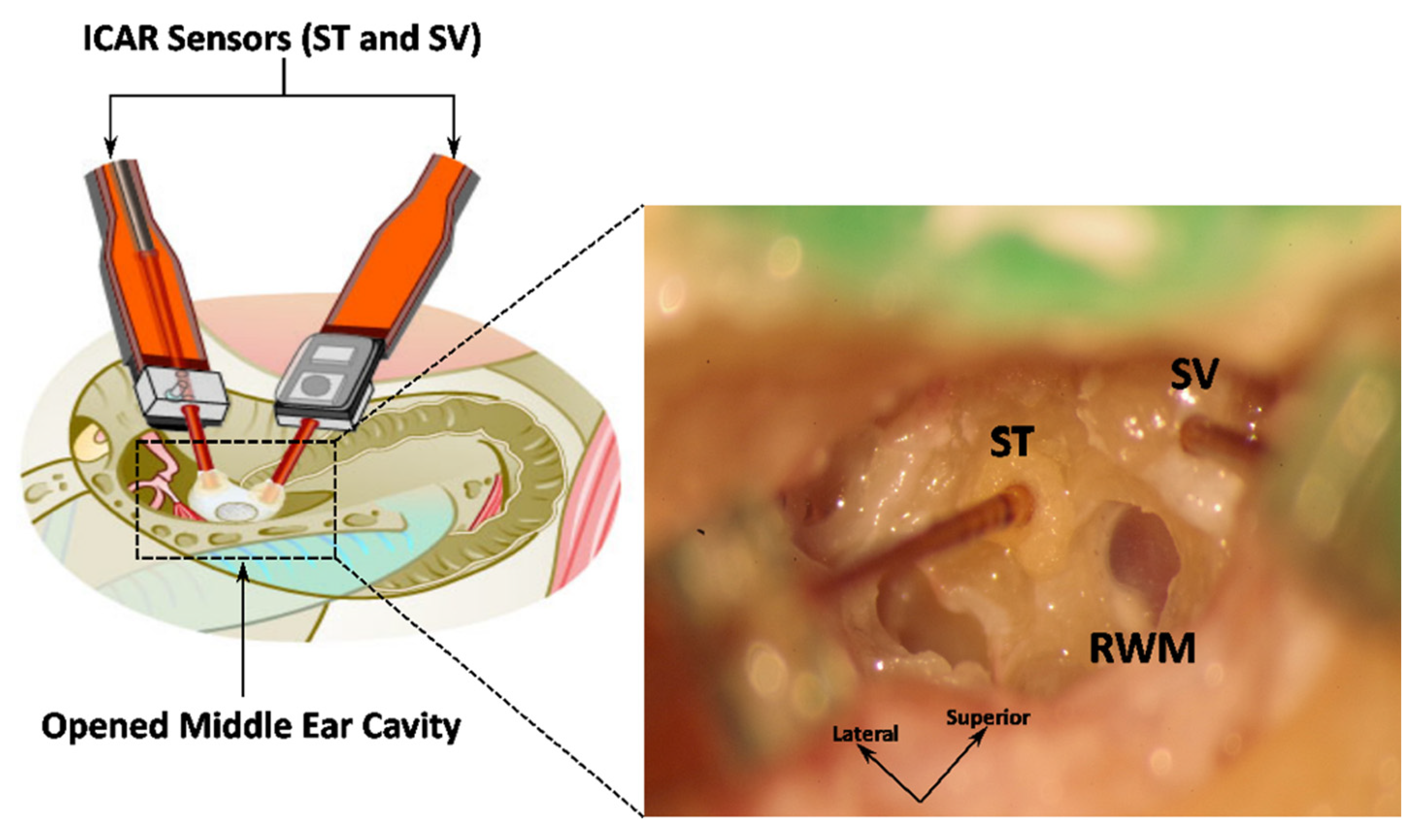 Applsci 11 05062 g002
